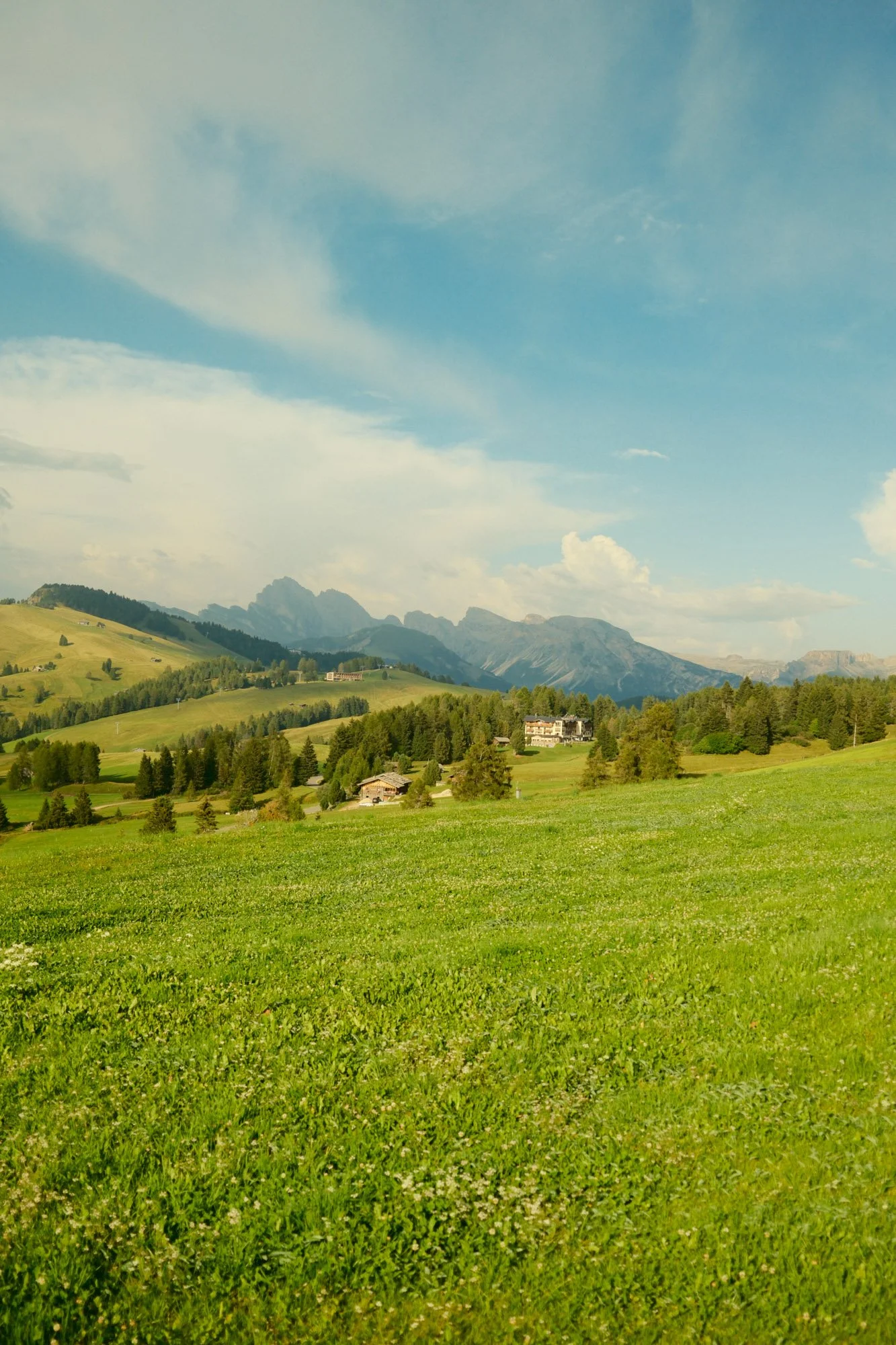 DSCF1229.jpg