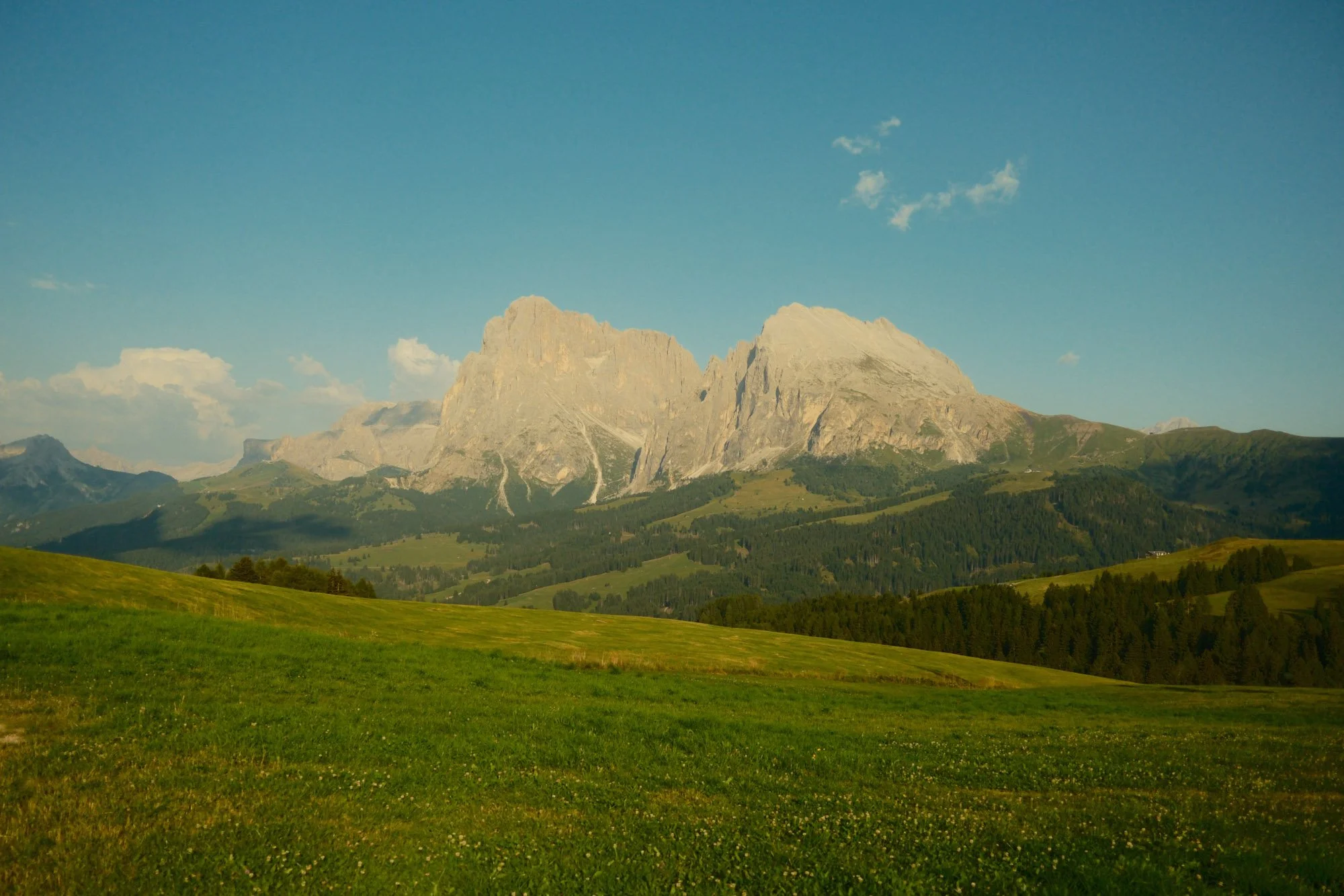 DSCF1235.jpg