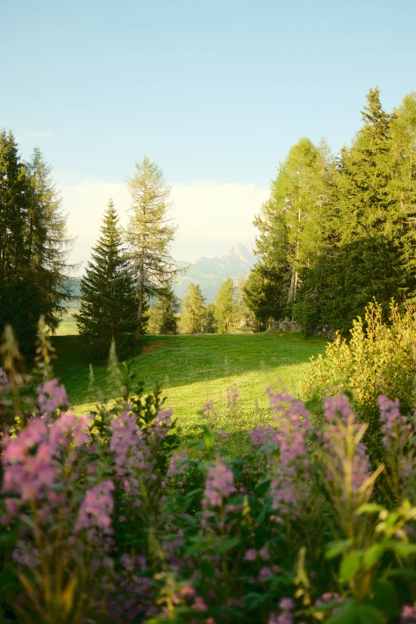 DSCF1255.jpg