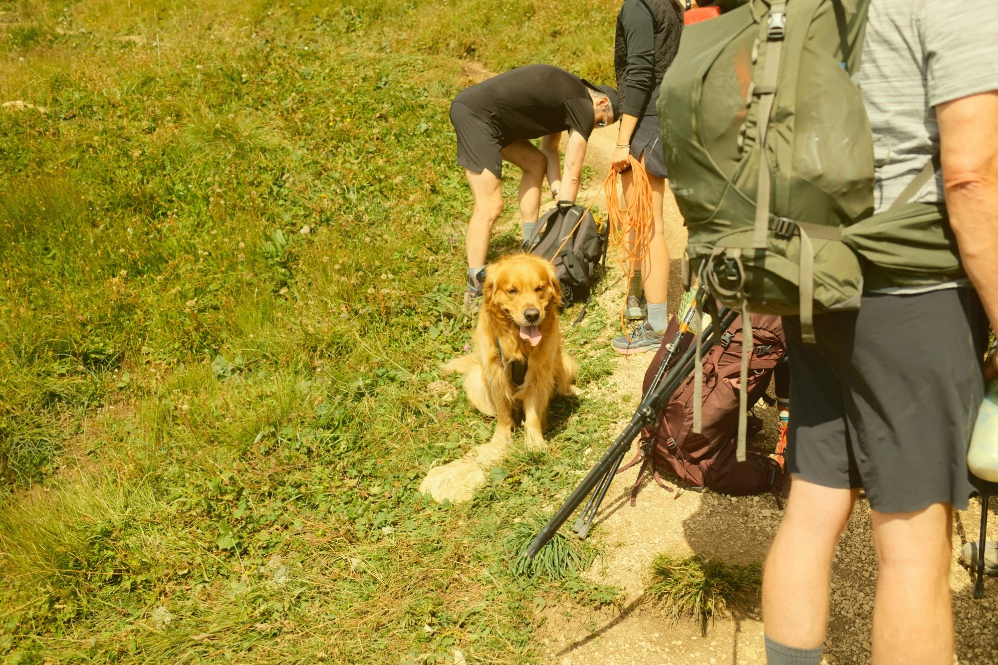 DSCF1449.jpg