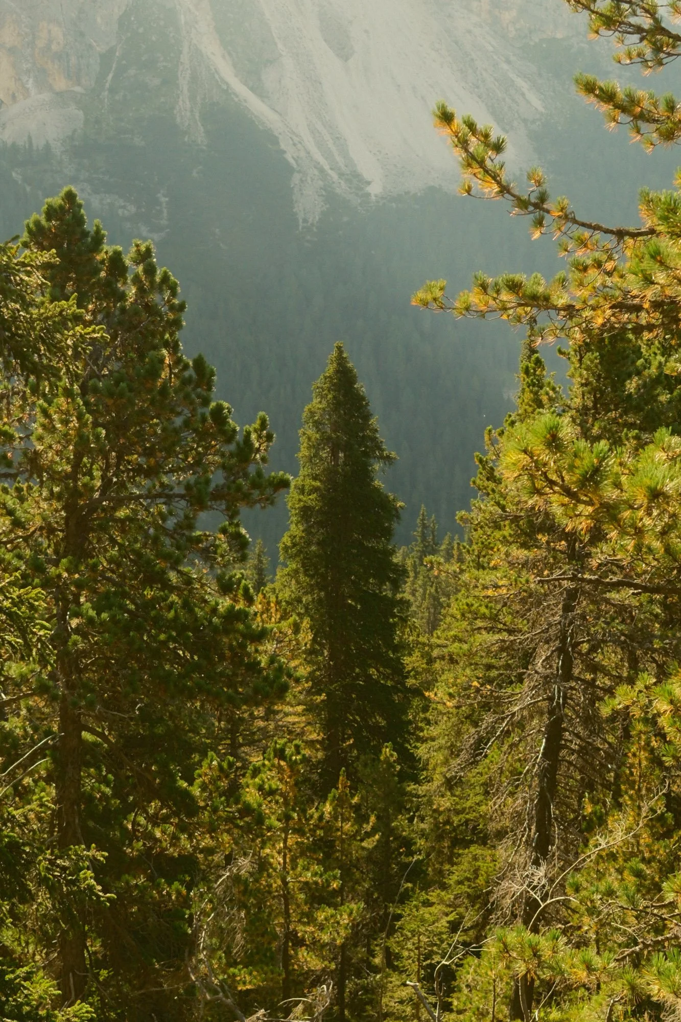 DSCF1562.jpg