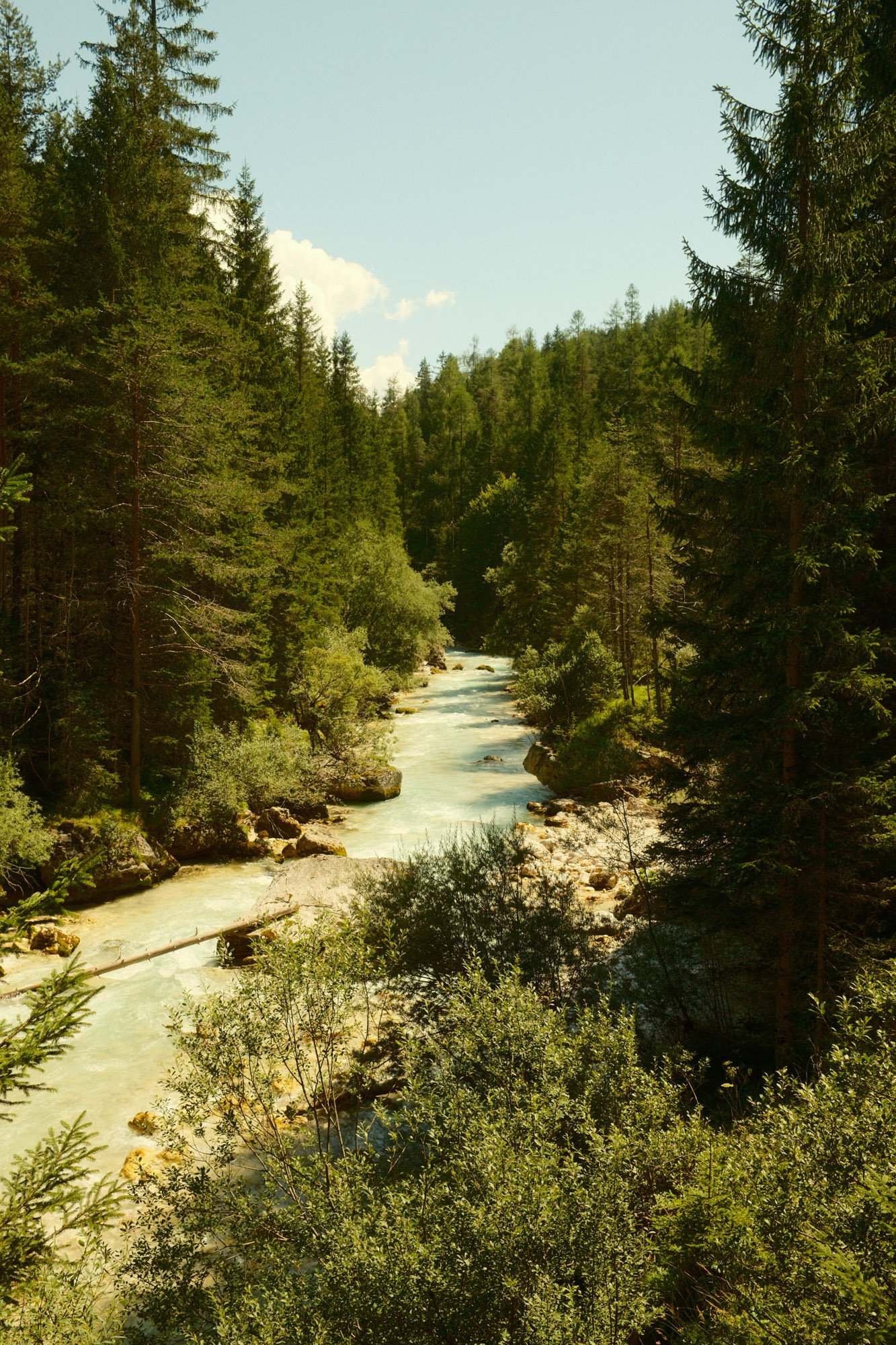 DSCF1950.jpg