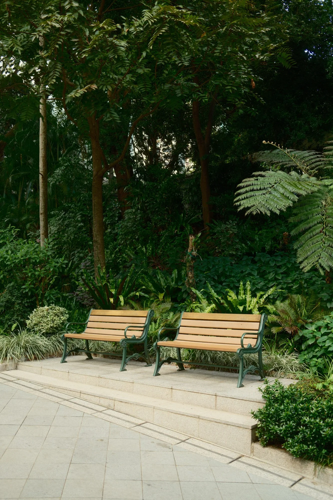 DSCF5318.jpg