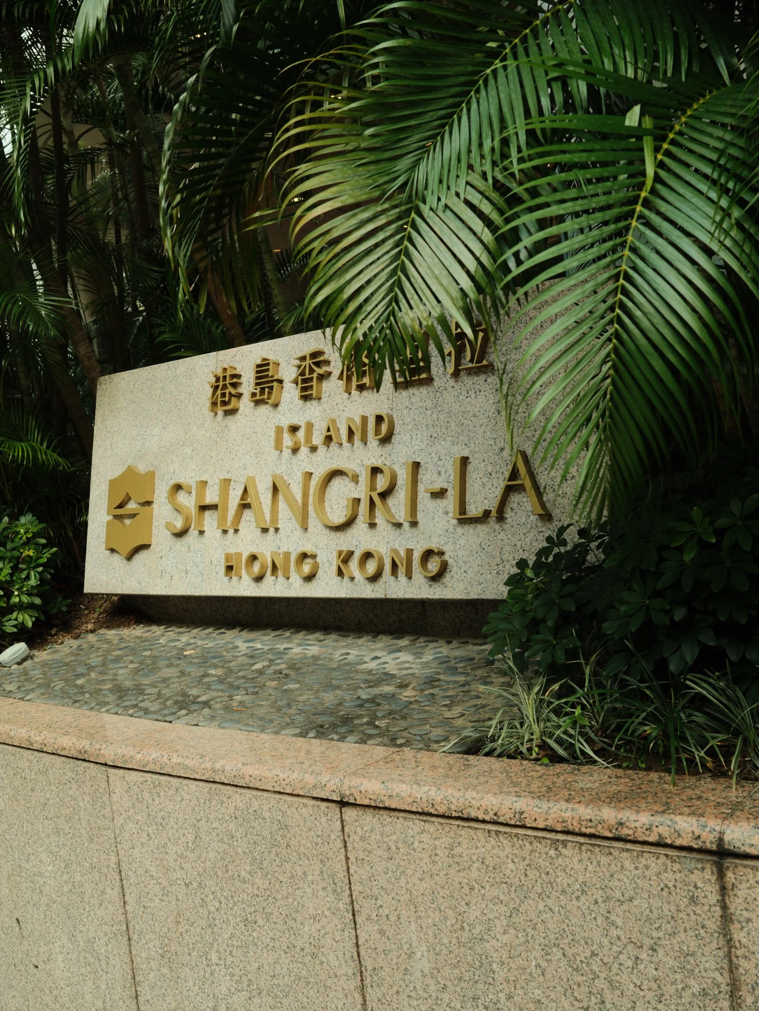 DSCF5477.jpg