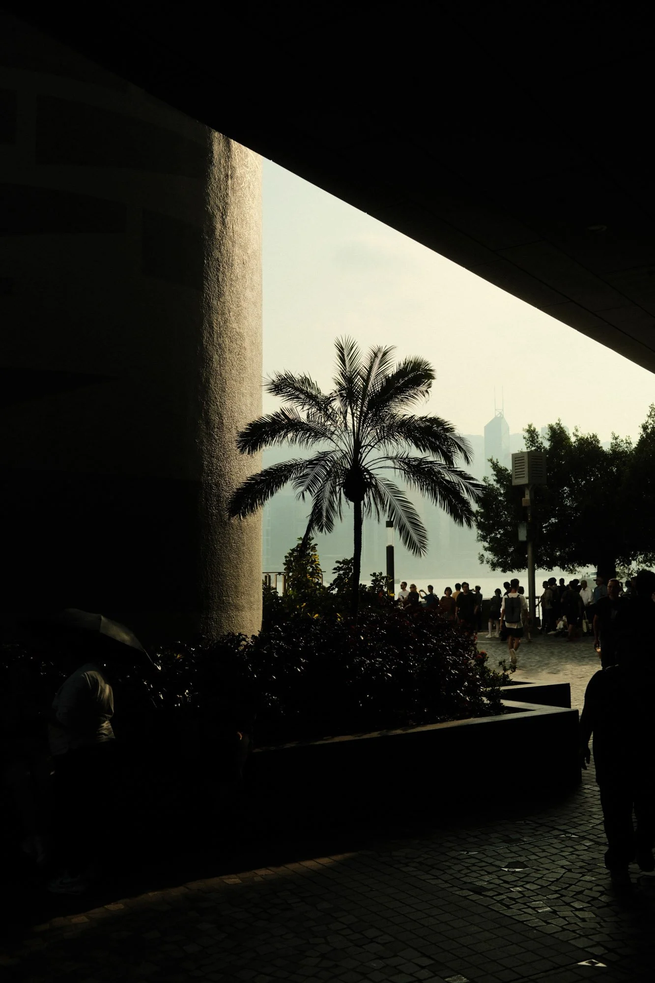 DSCF6079.jpg