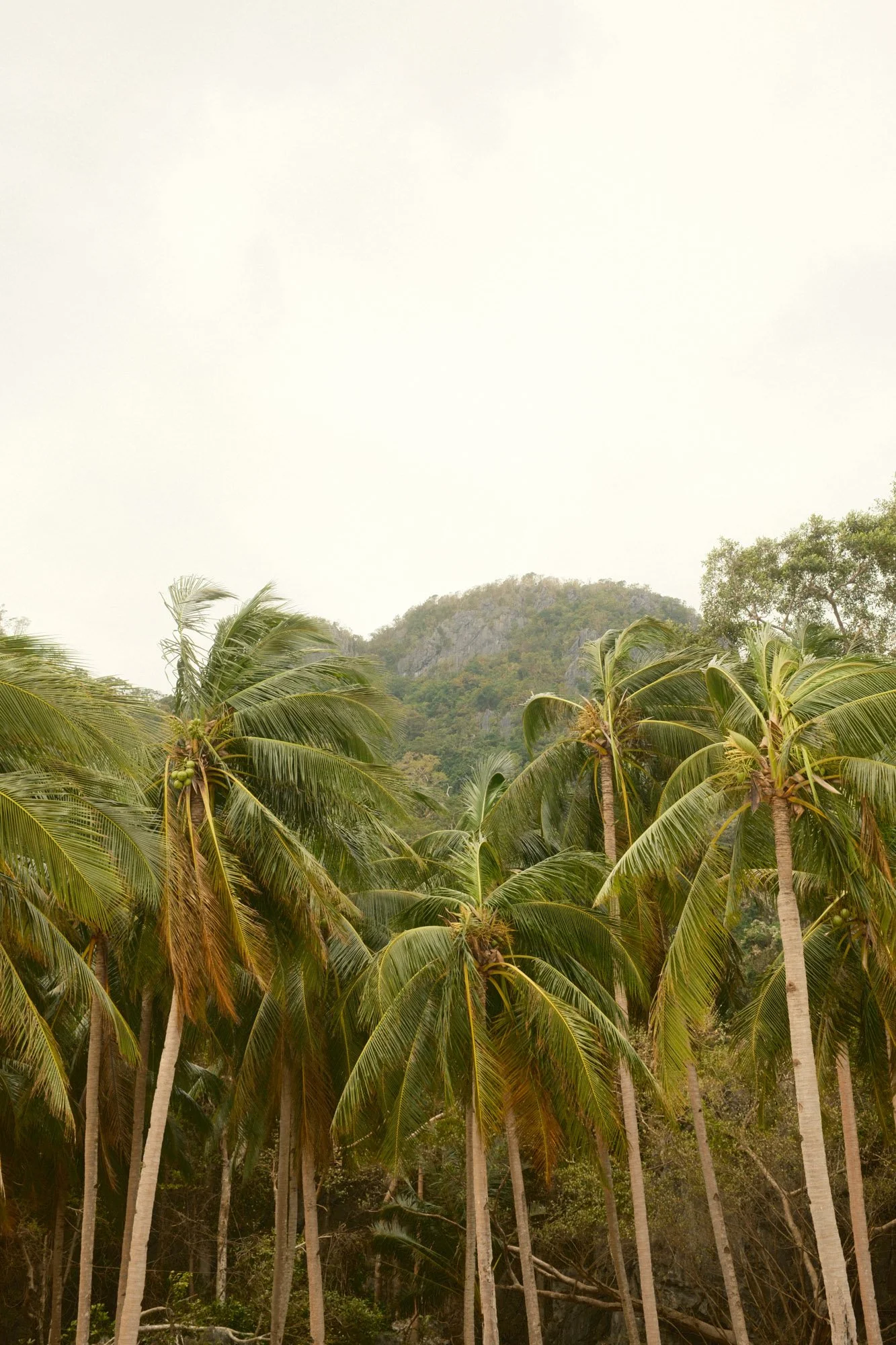 DSCF6631.jpg