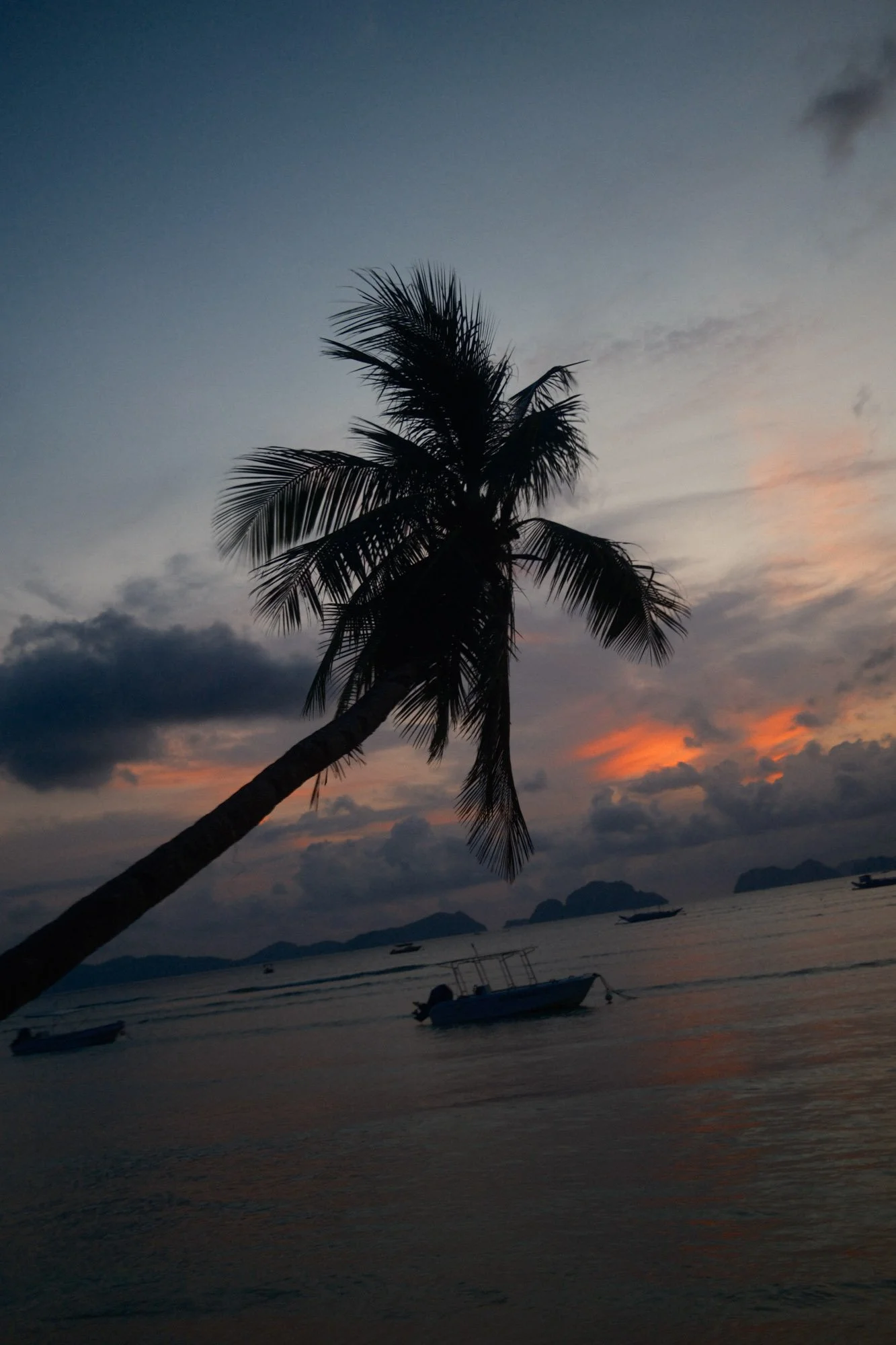 DSCF6736.jpg