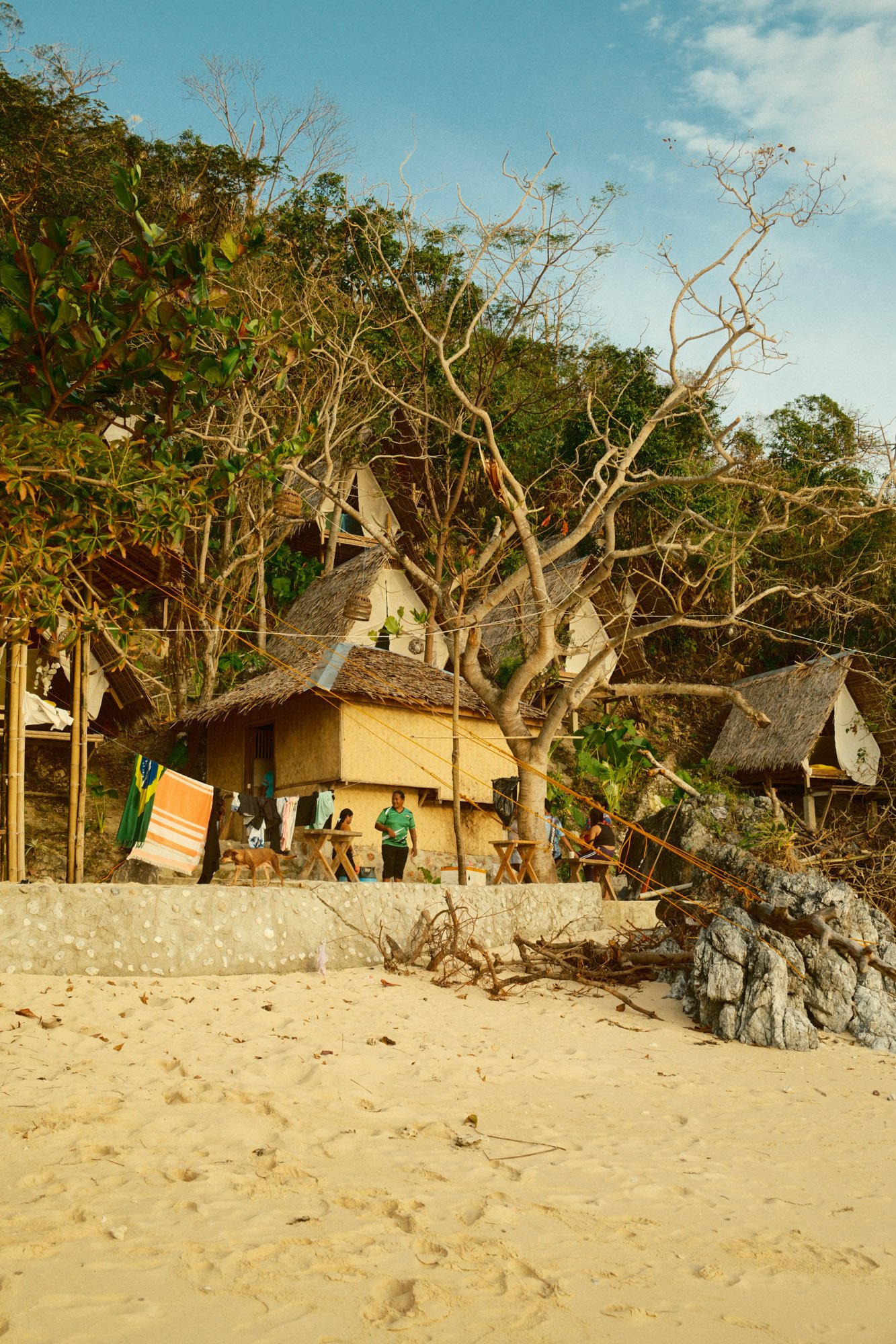 DSCF6821.jpg