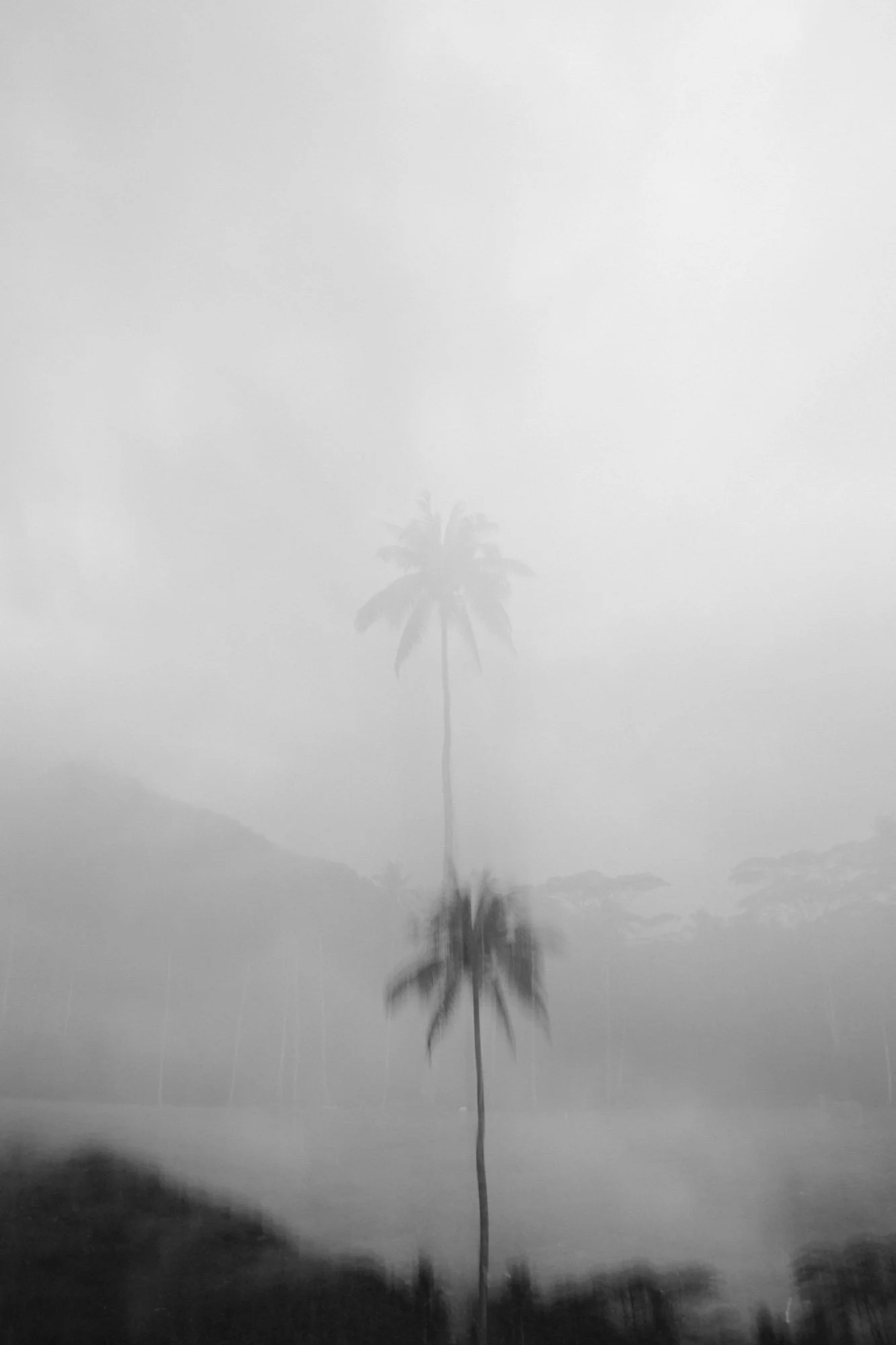DSCF7507.jpg