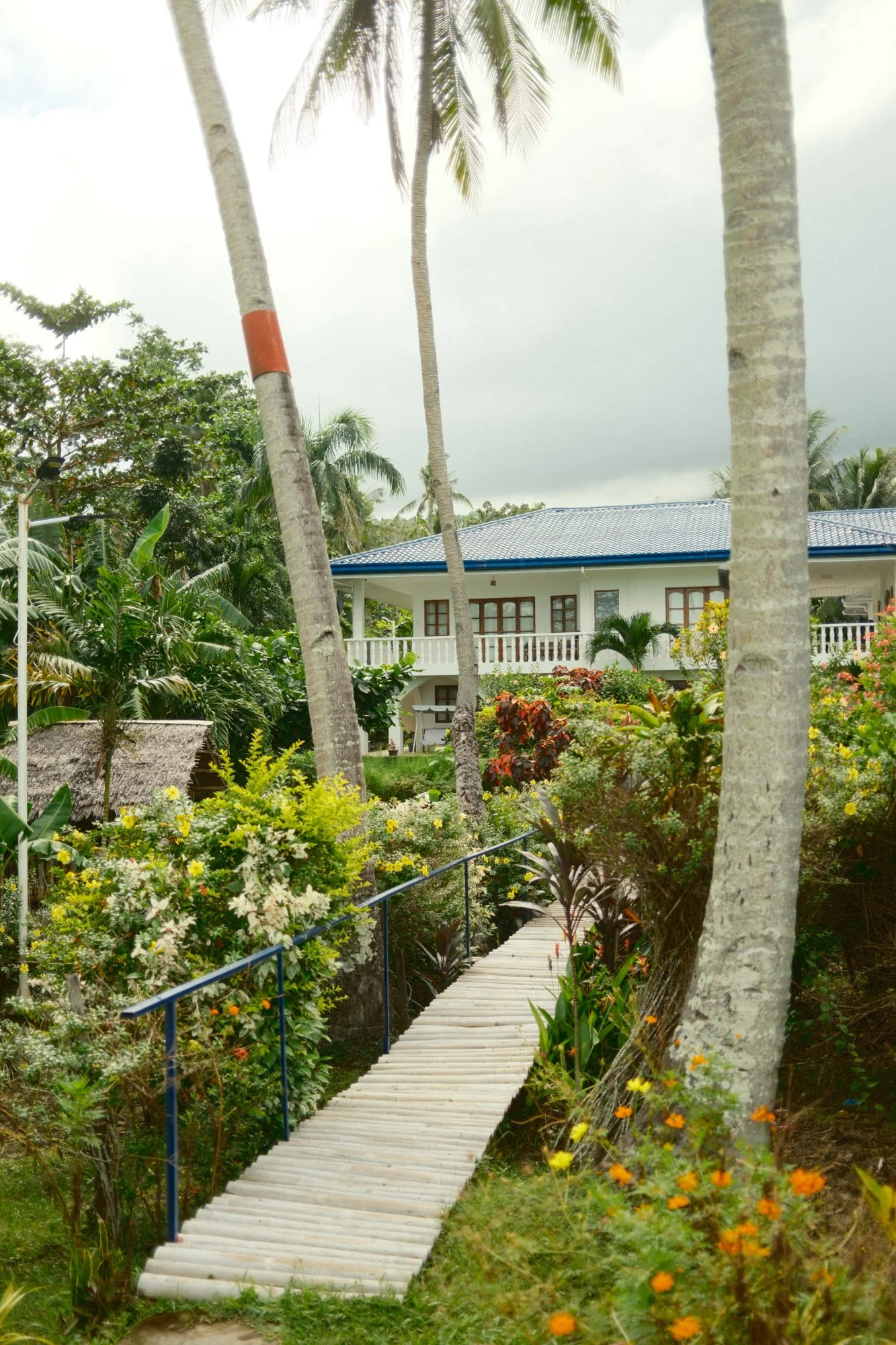 DSCF7532.jpg