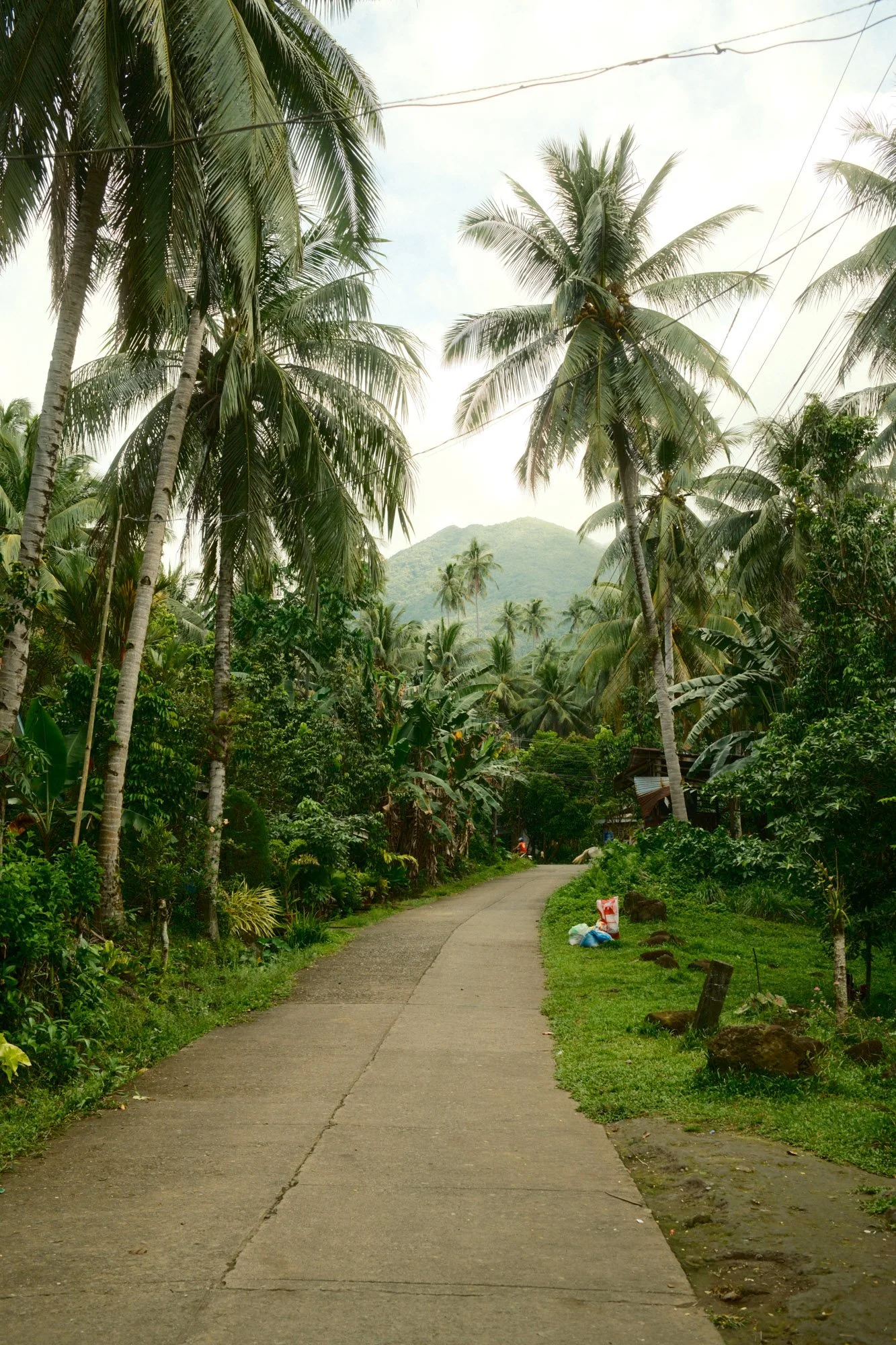 DSCF7694.jpg