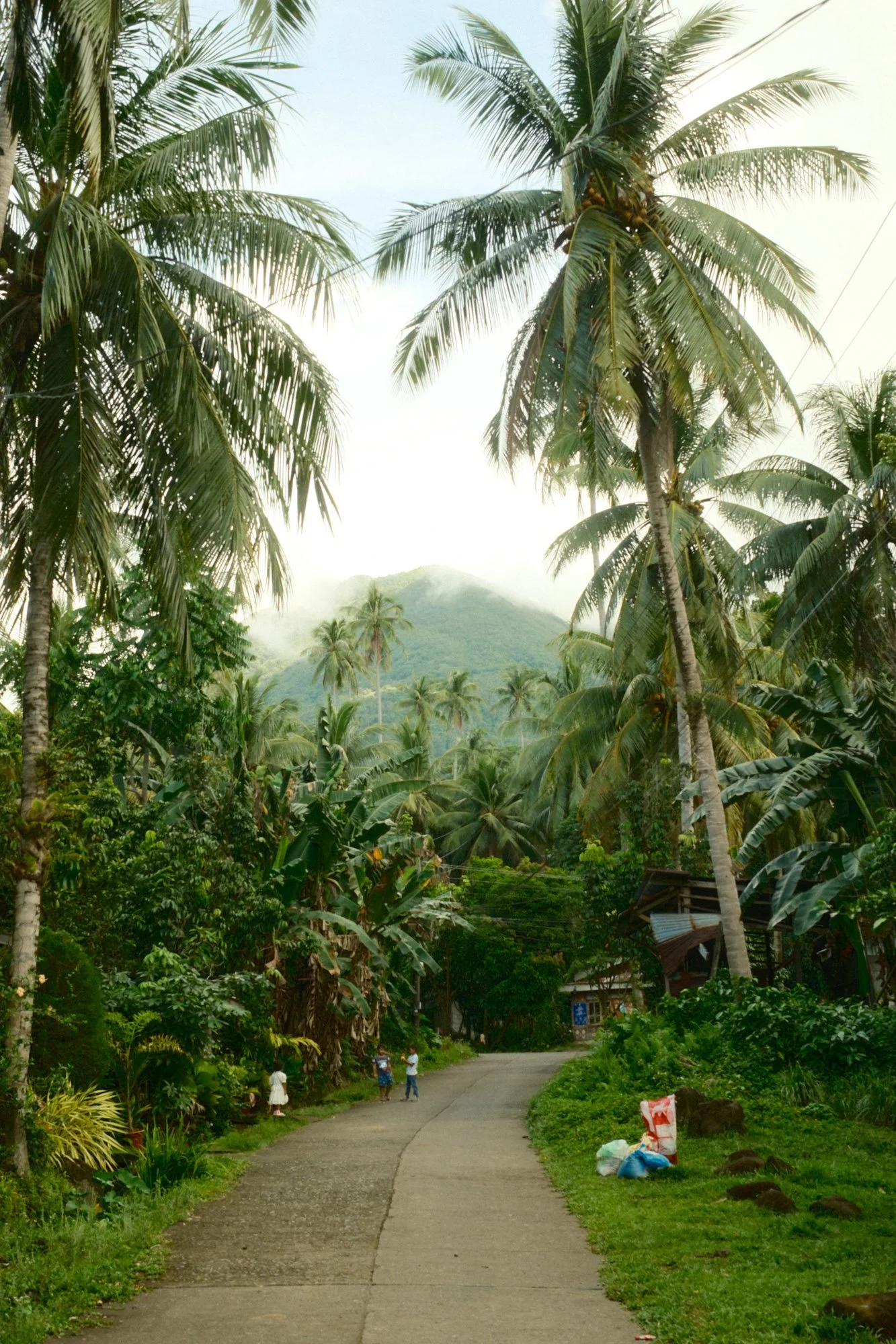 DSCF7800.jpg