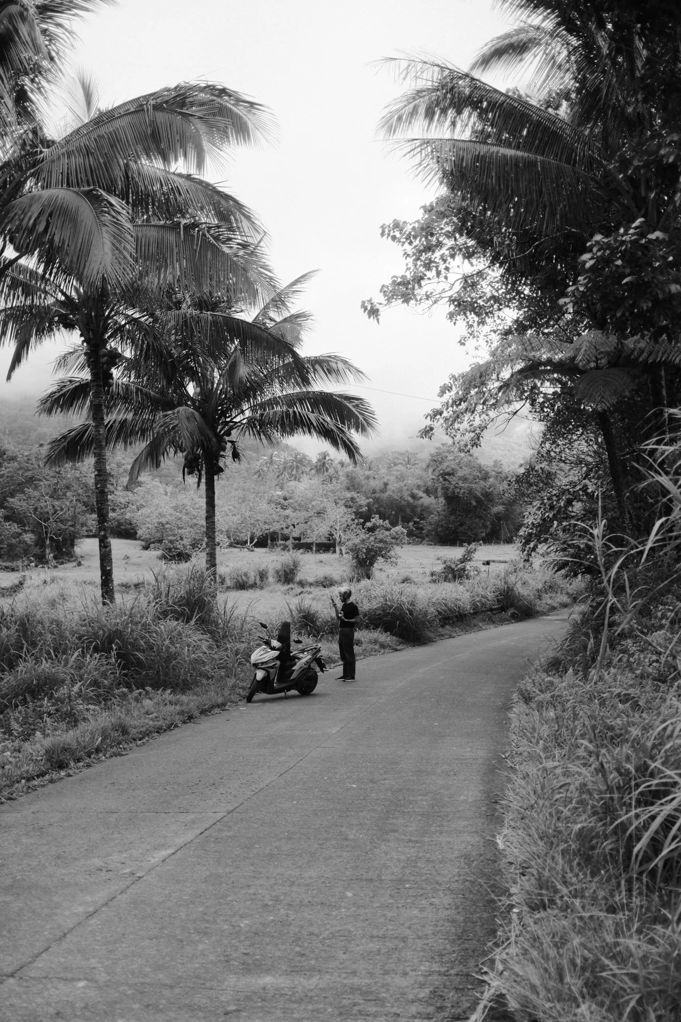 DSCF7913.jpg