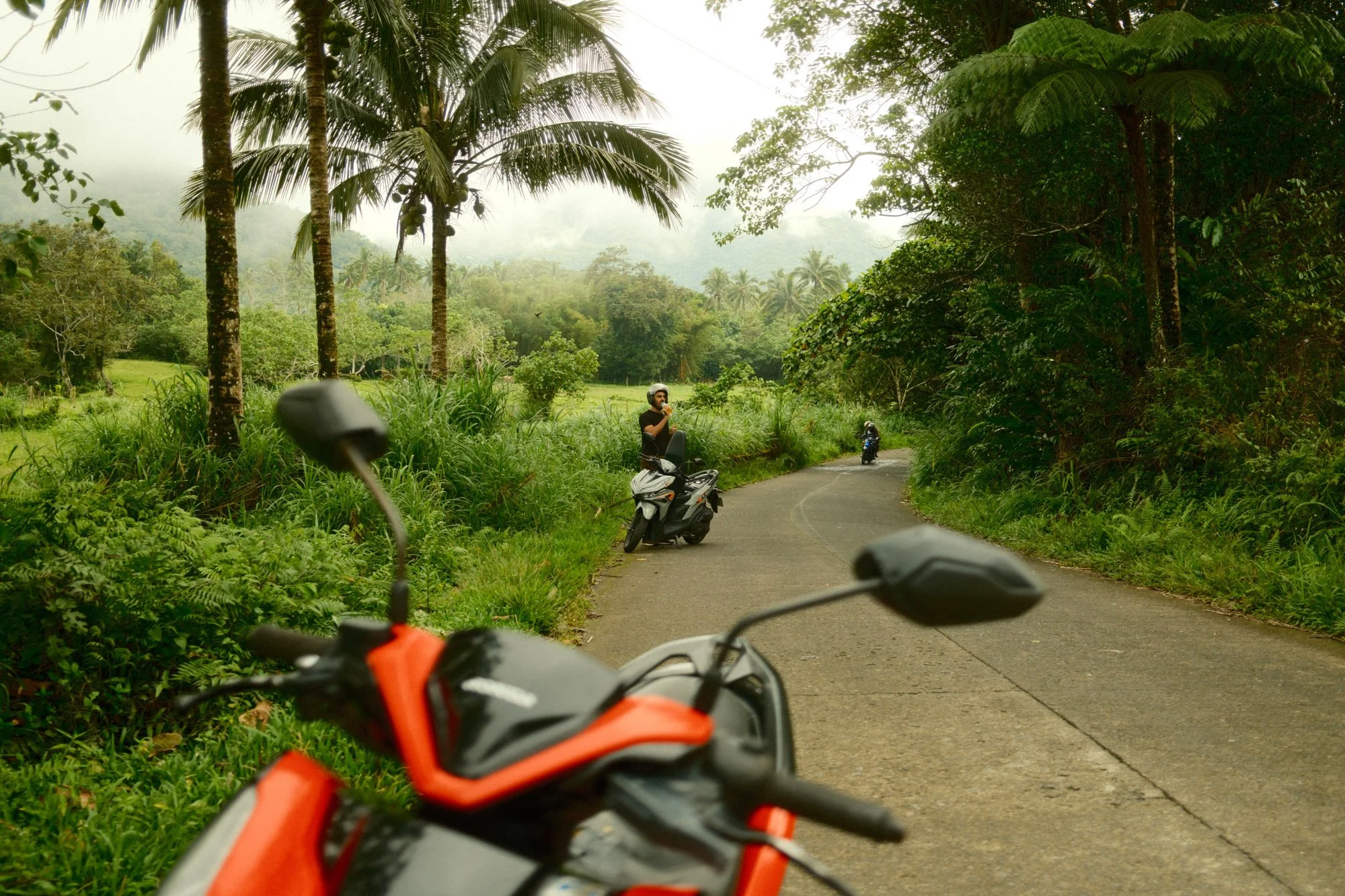 DSCF7919.jpg
