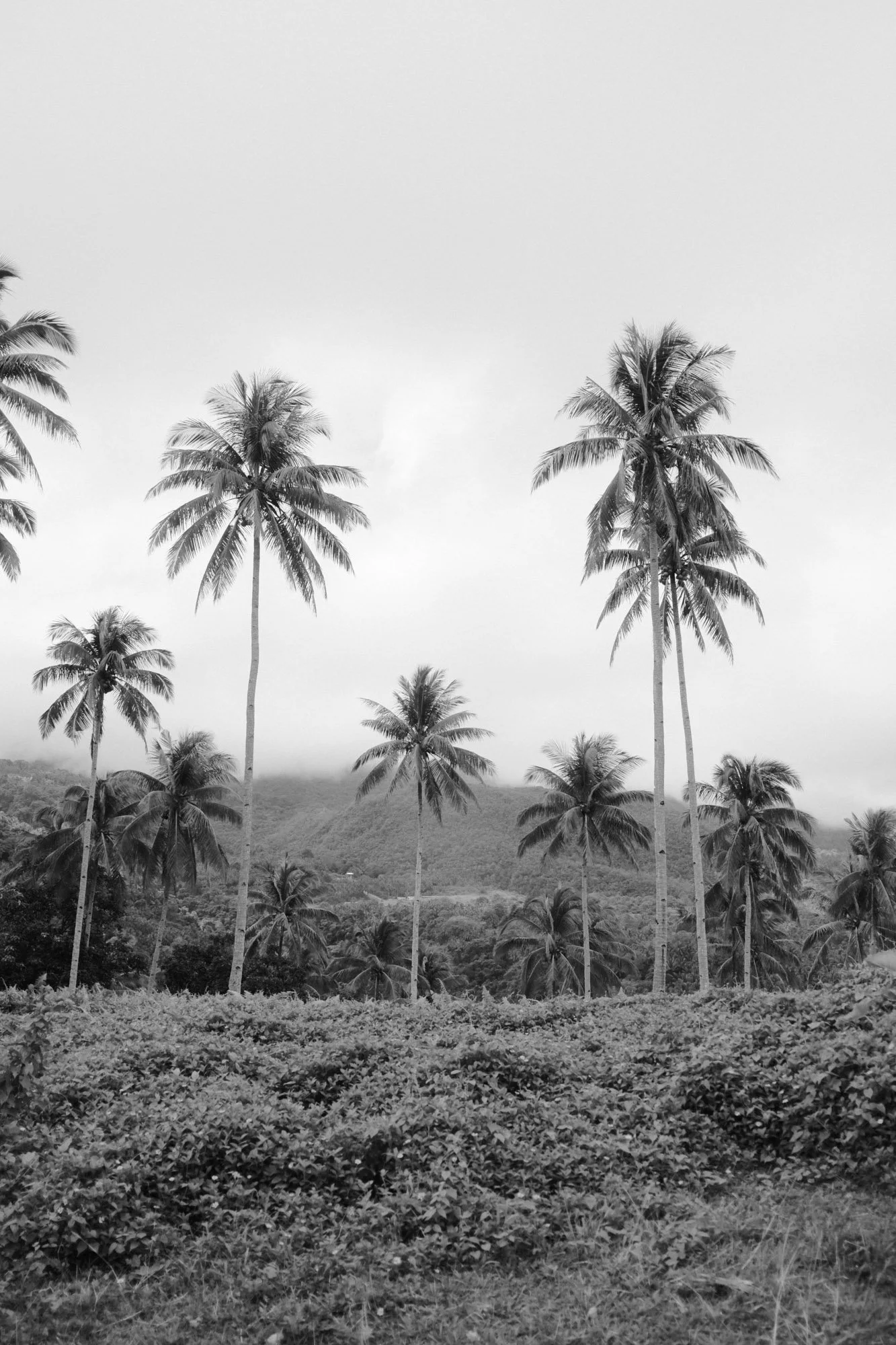 DSCF7950.jpg