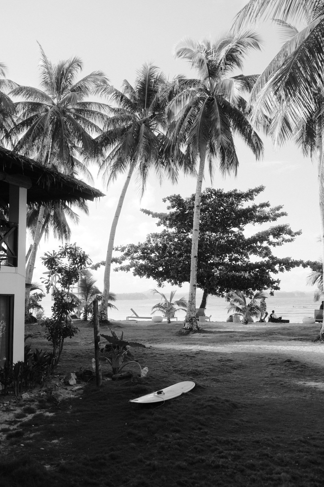 DSCF8222.jpg