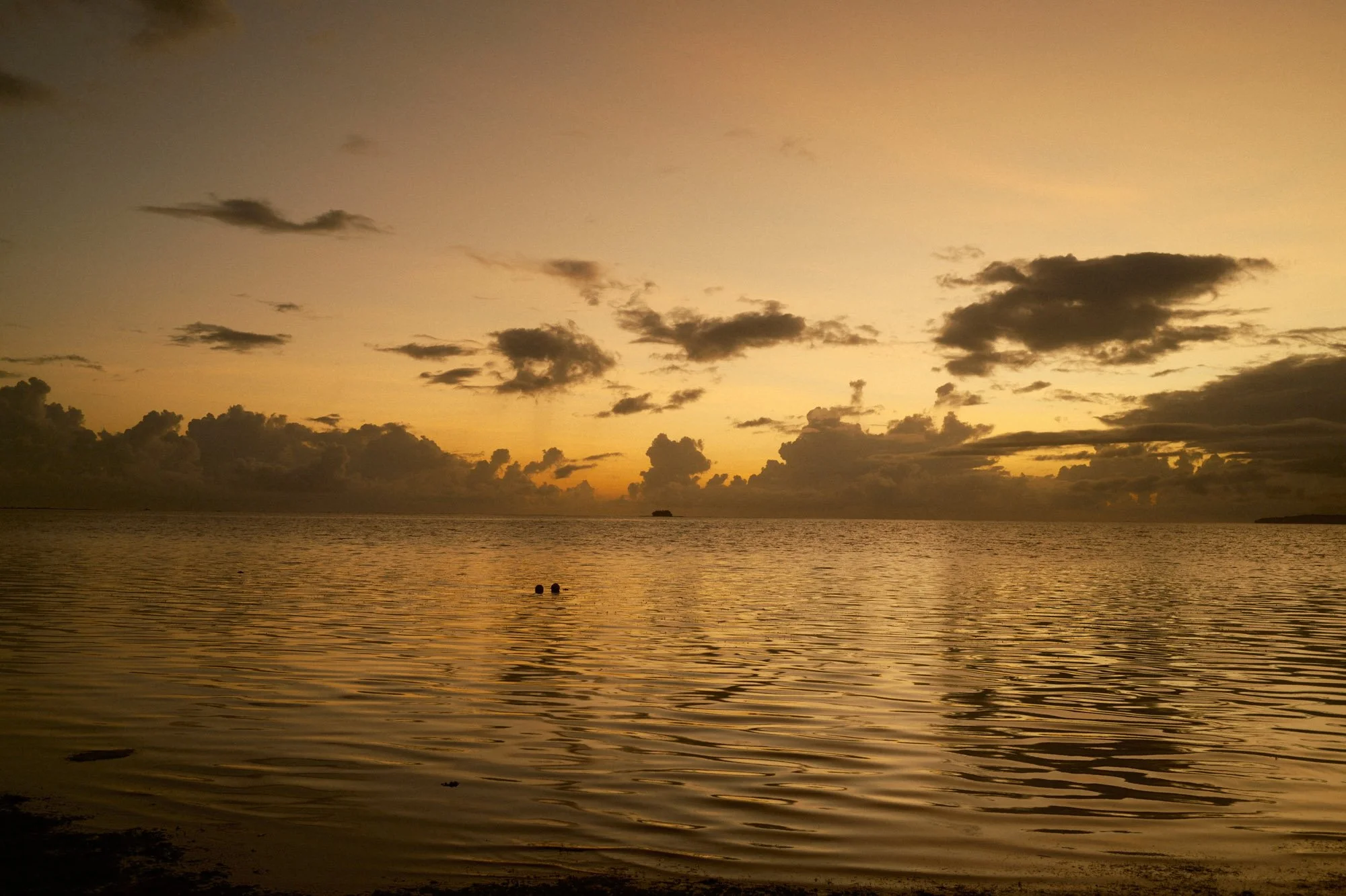 DSCF8238.jpg