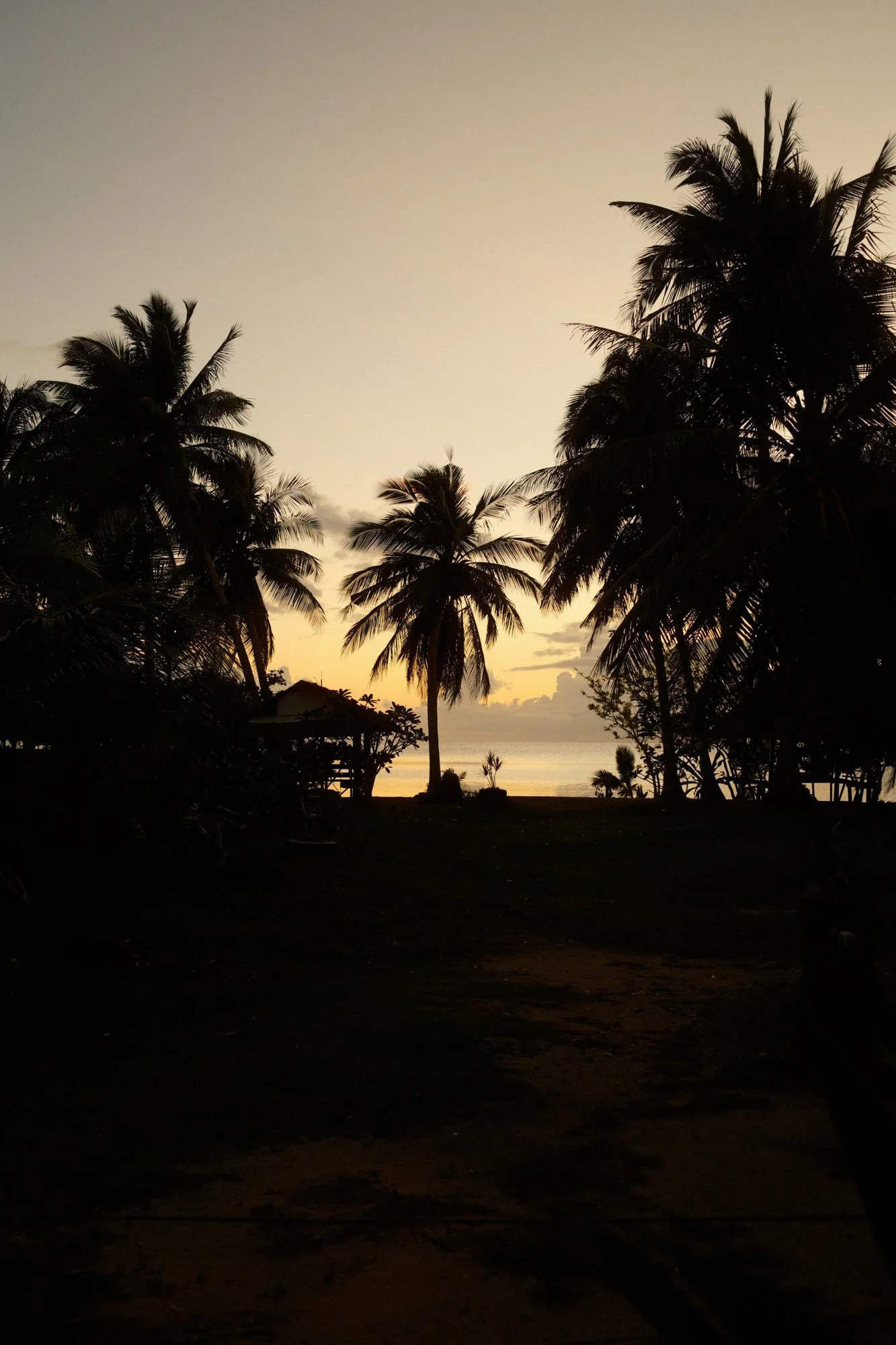 DSCF8245.jpg