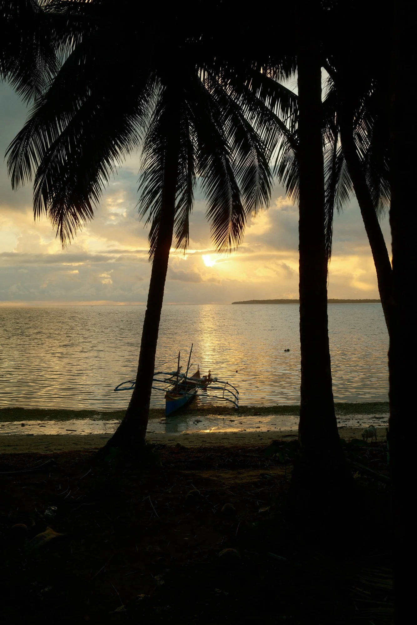 DSCF8258.jpg