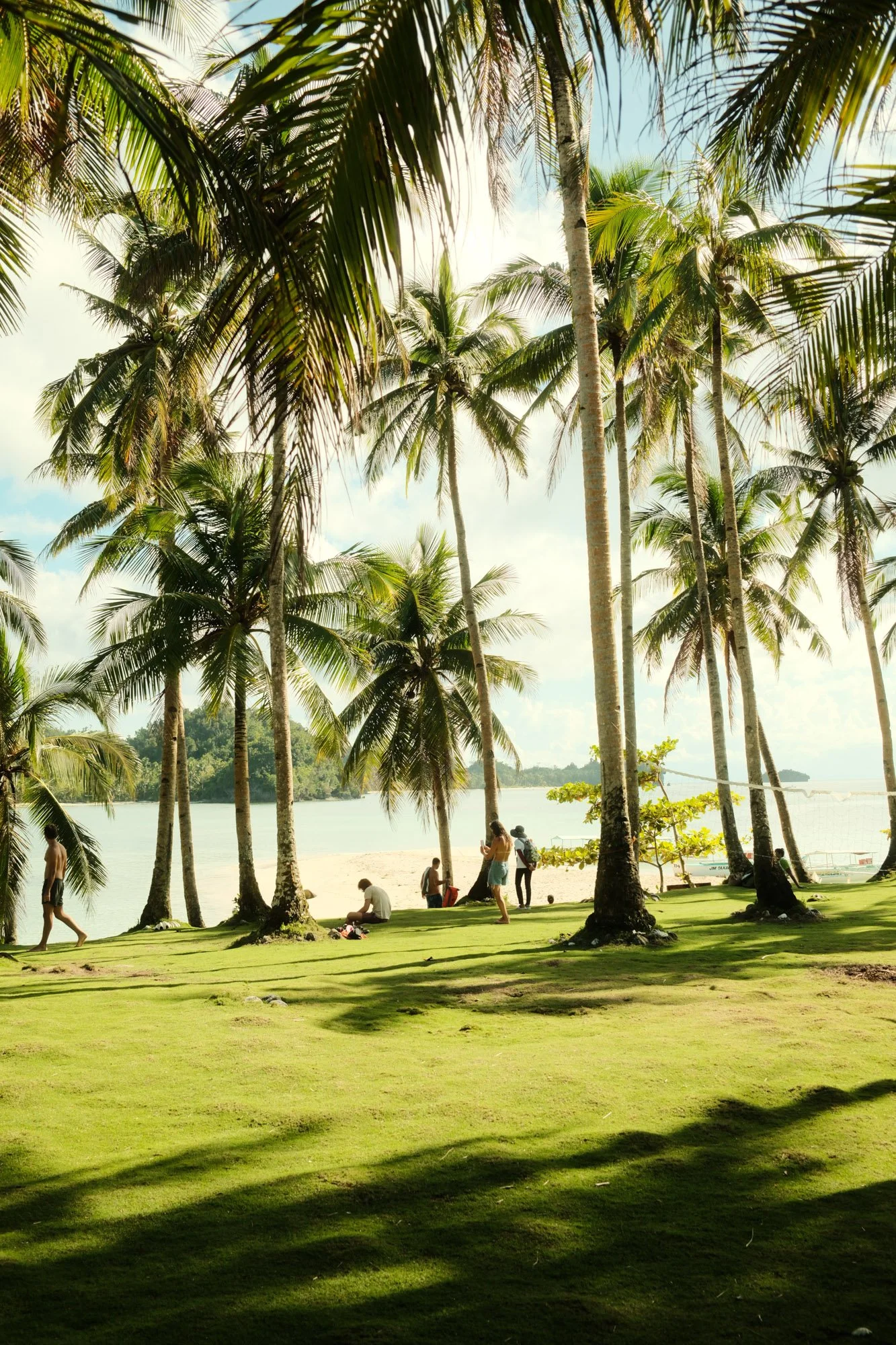 DSCF8686.jpg