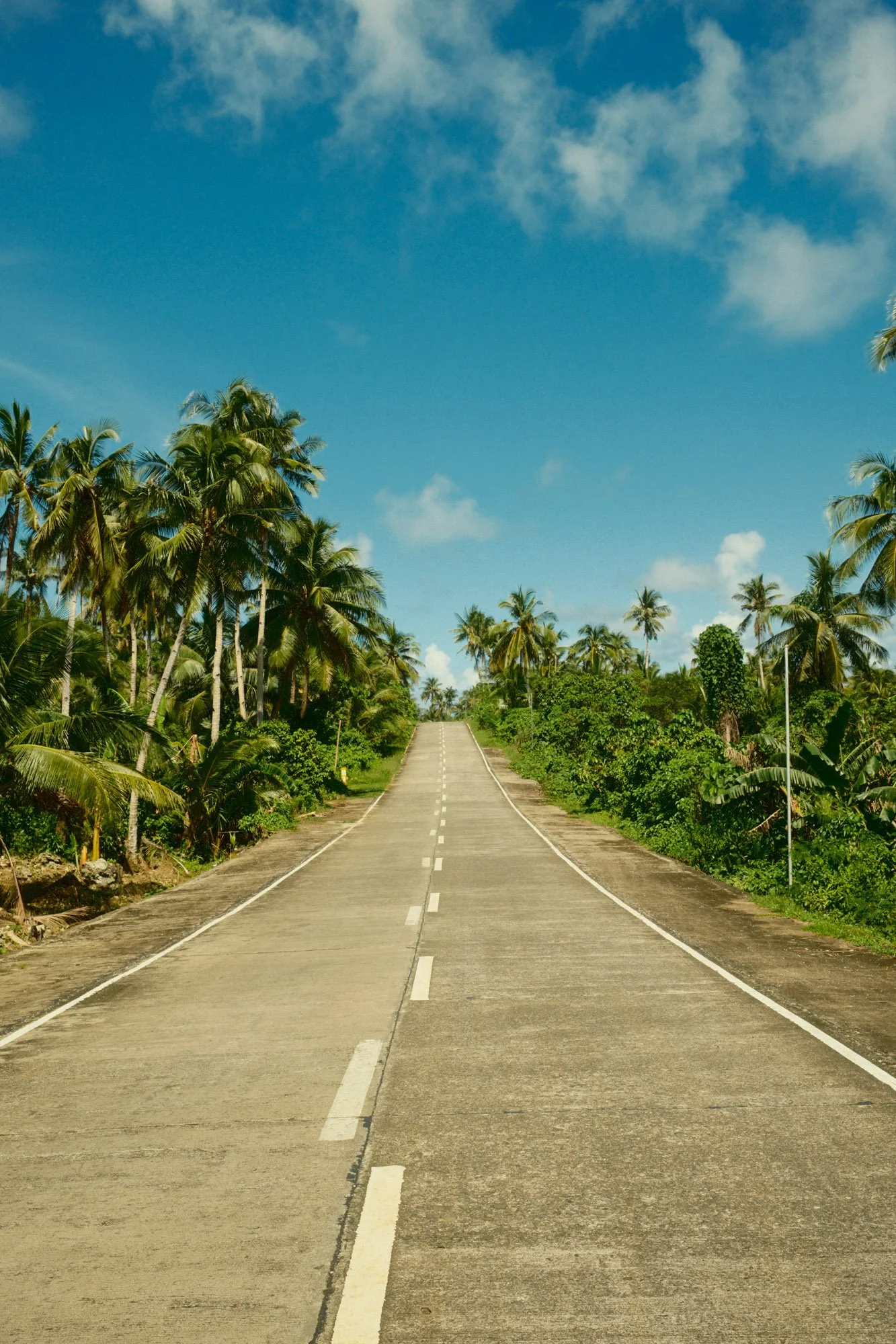 DSCF8831.jpg