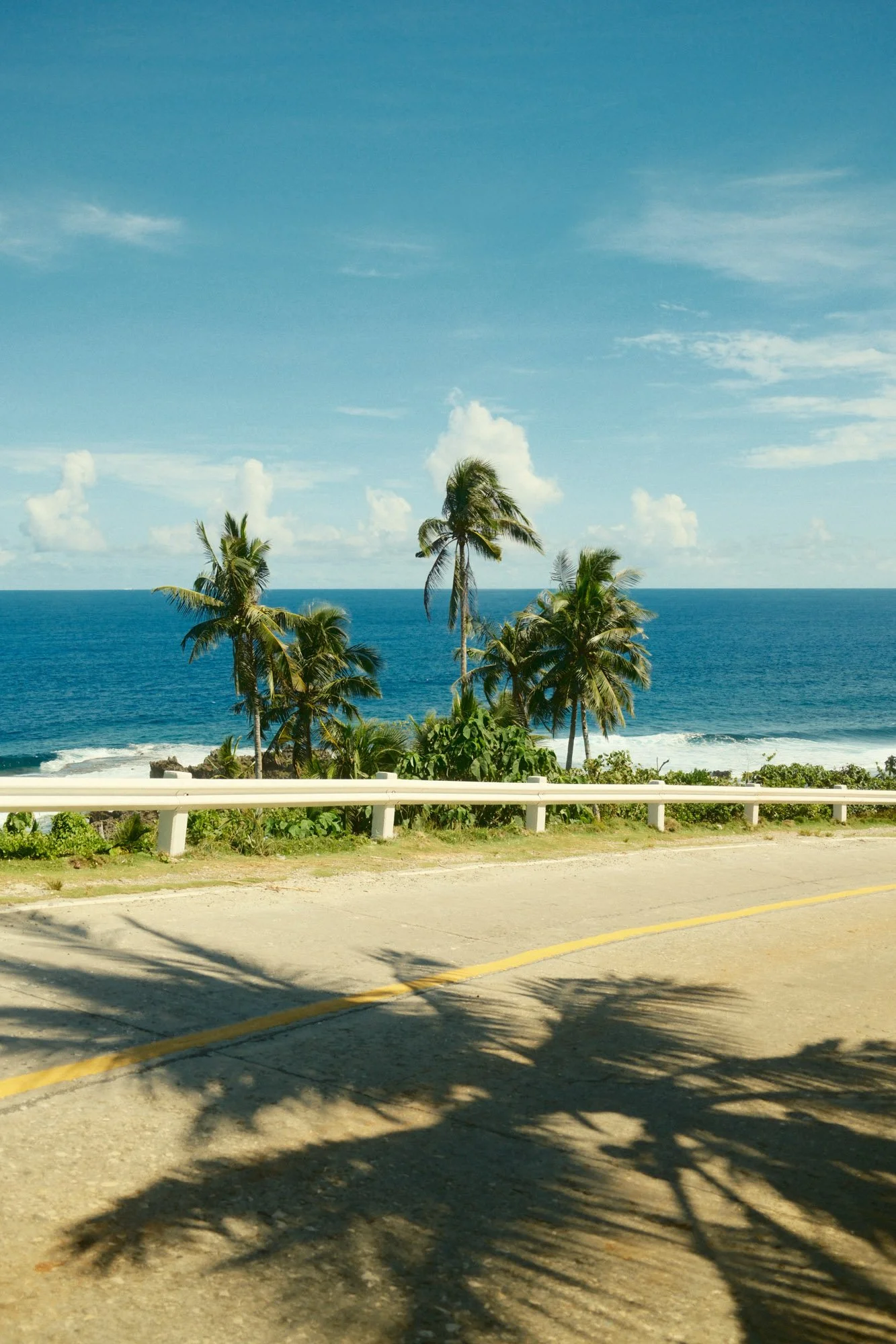 DSCF8841.jpg