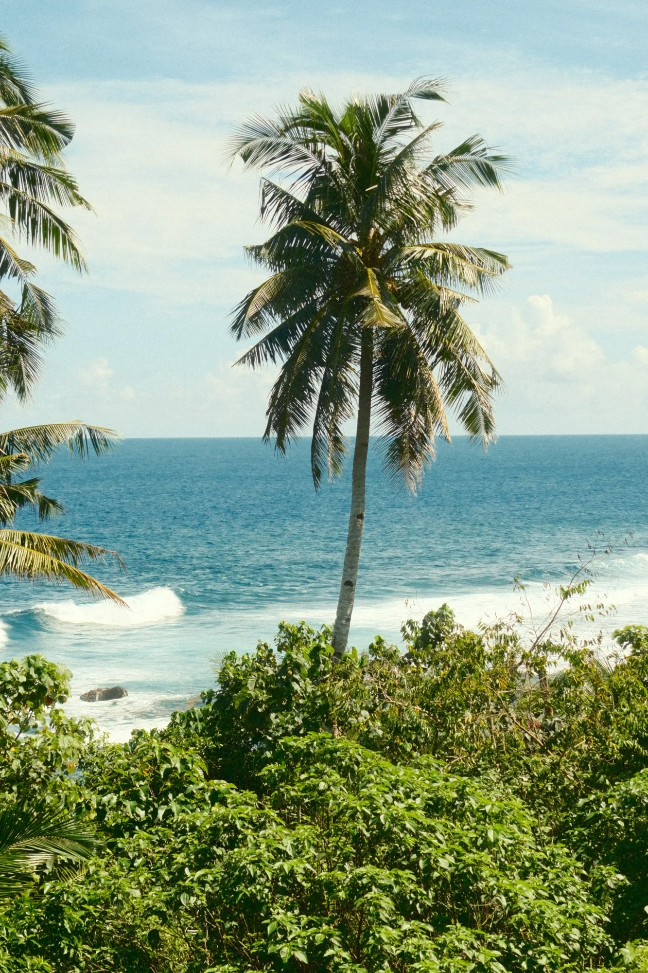 DSCF8858.jpg