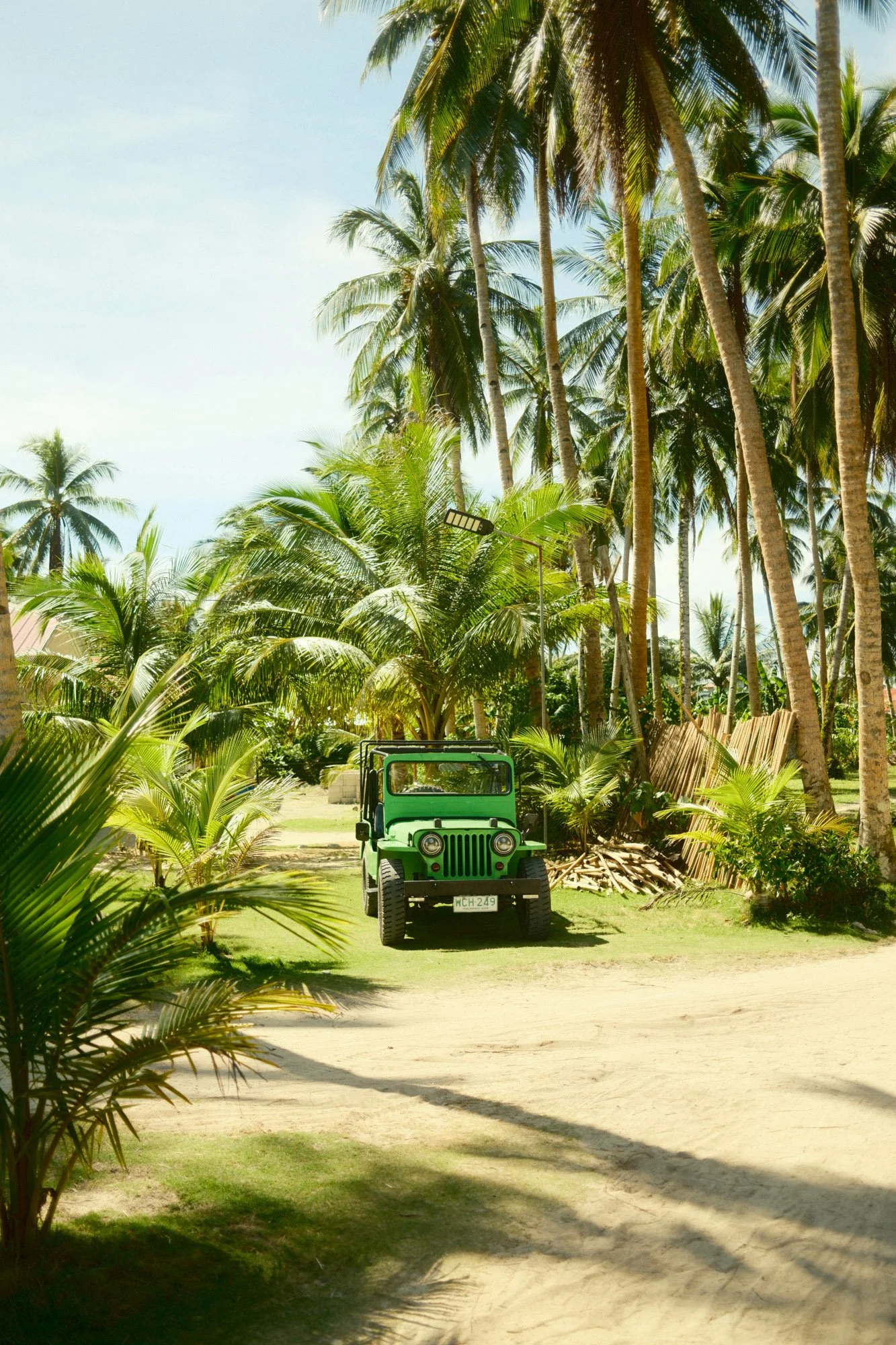 DSCF8906.jpg