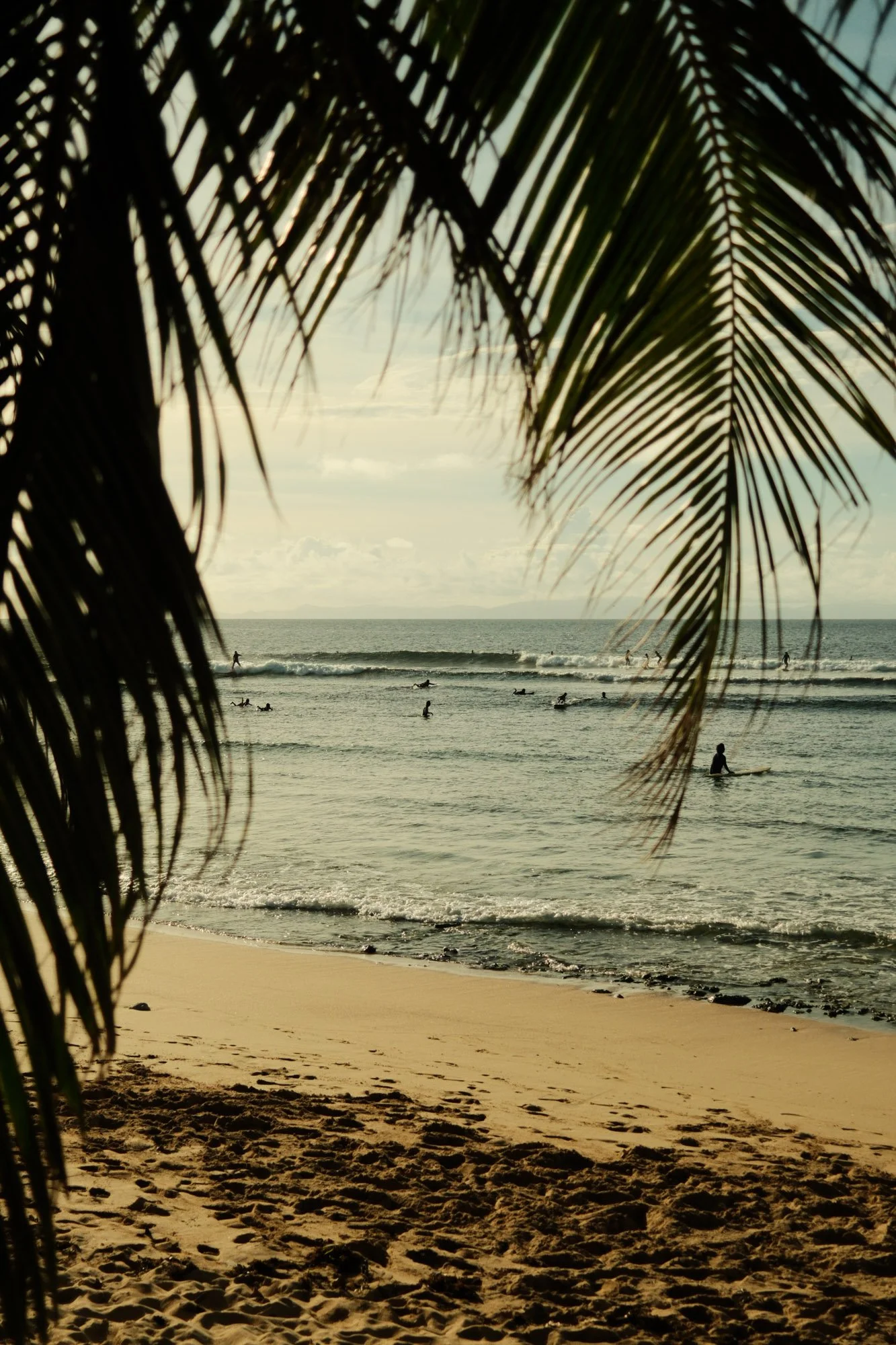 DSCF8944.jpg