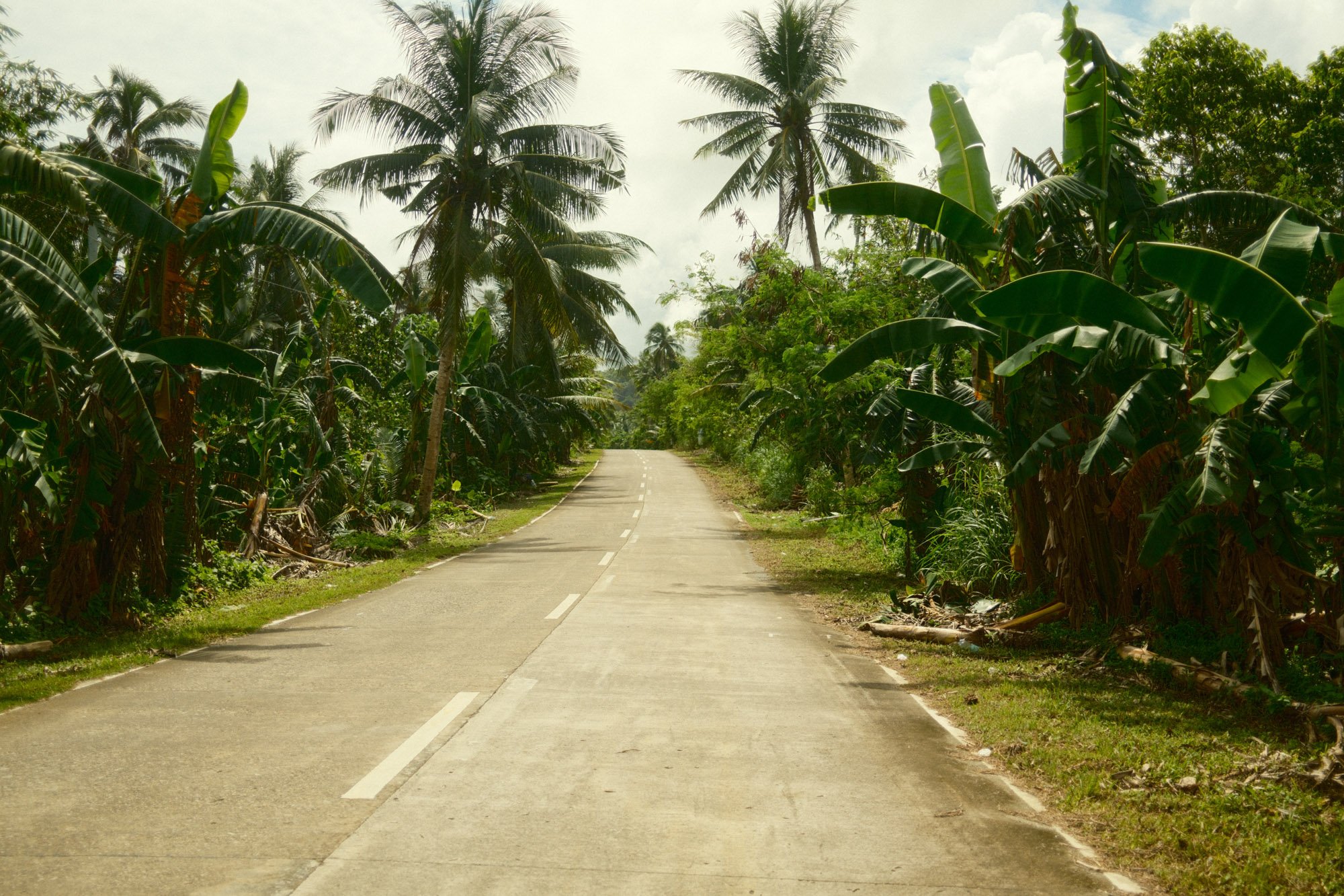 DSCF9005.jpg