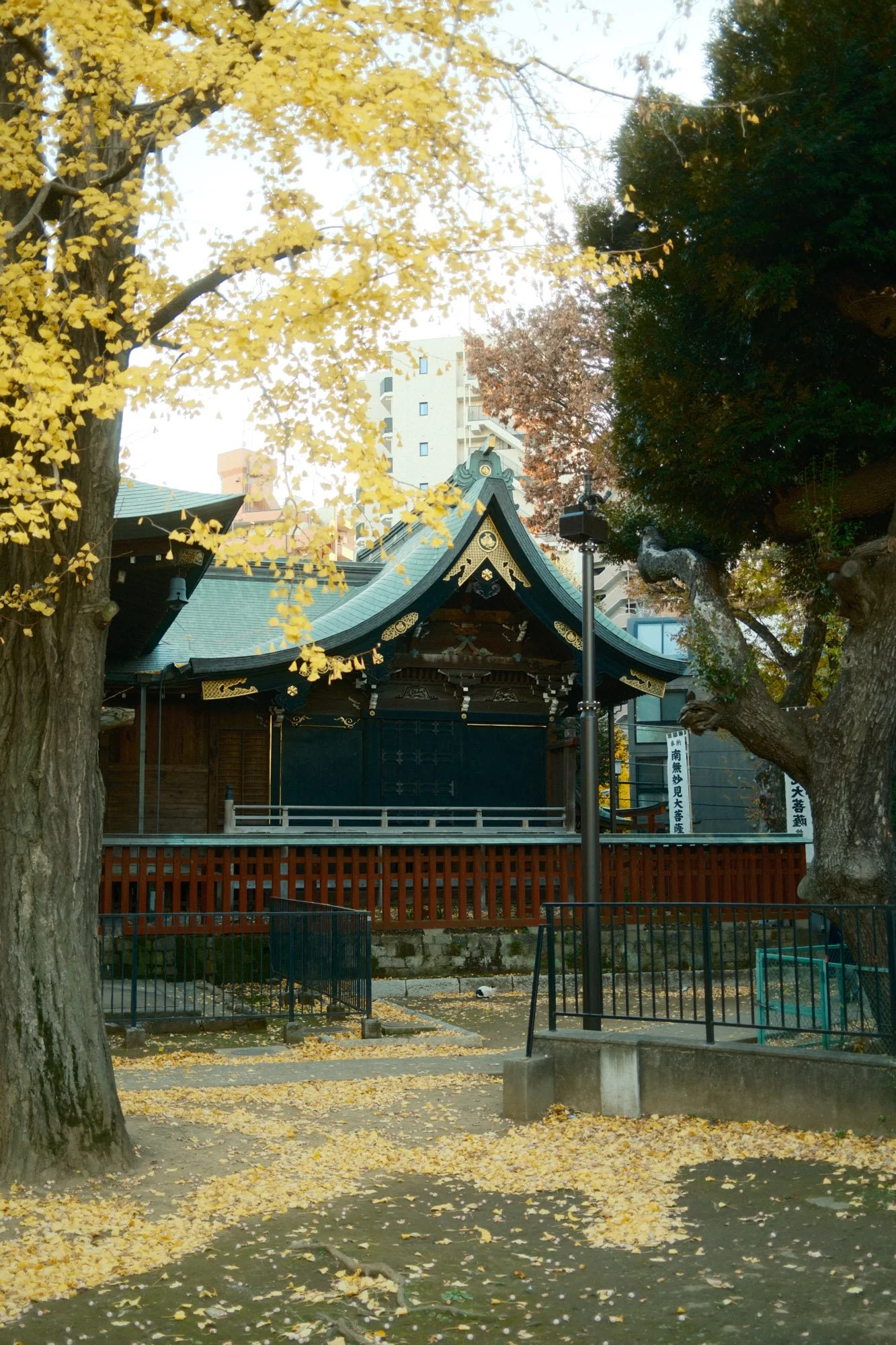 DSCF9077.jpg