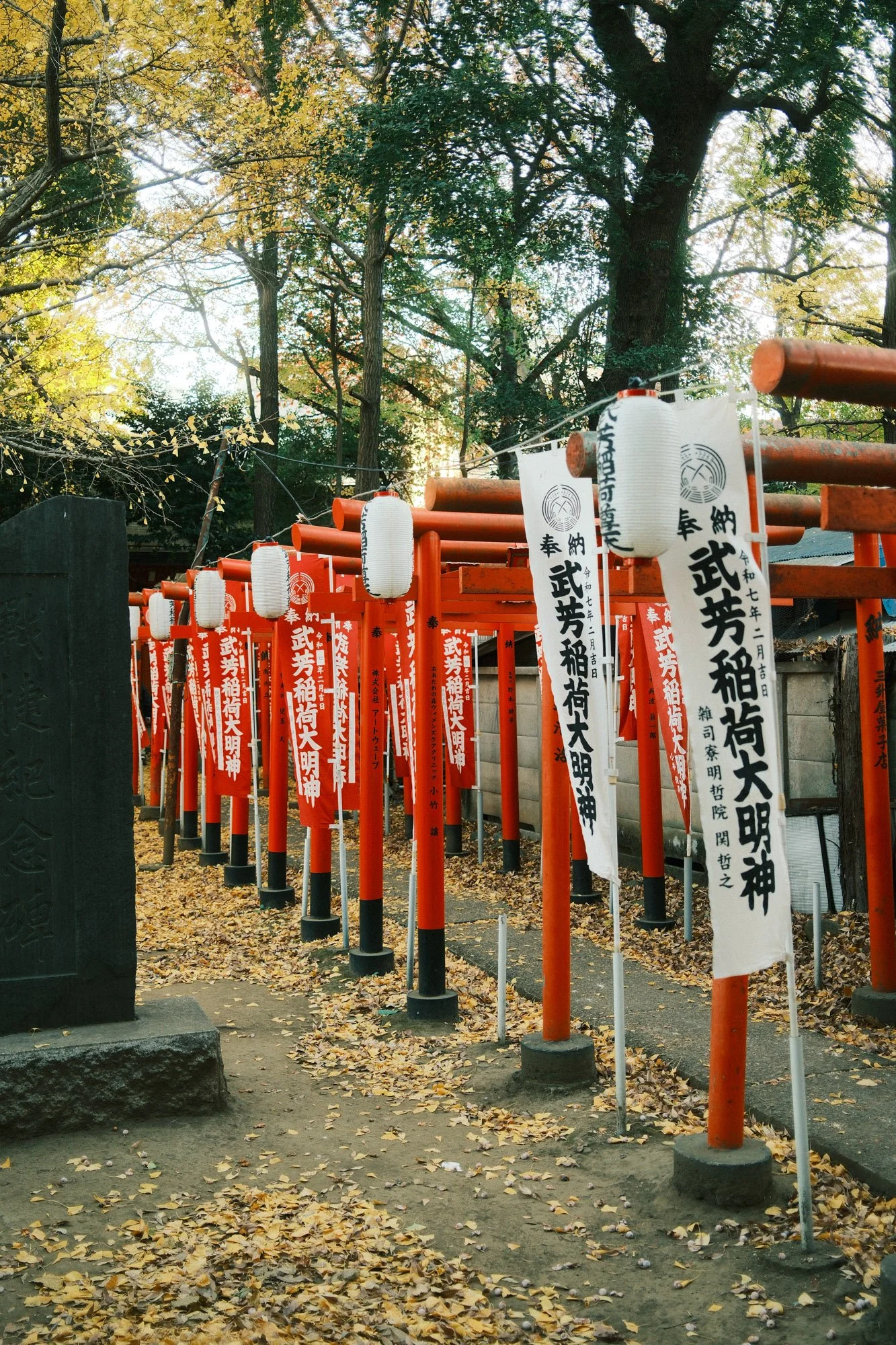 DSCF9081.jpg