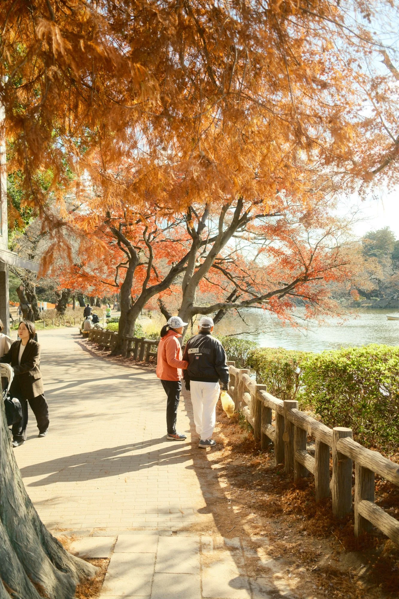 DSCF9170.jpg