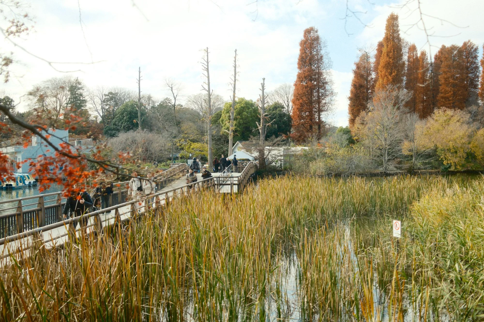 DSCF9179.jpg