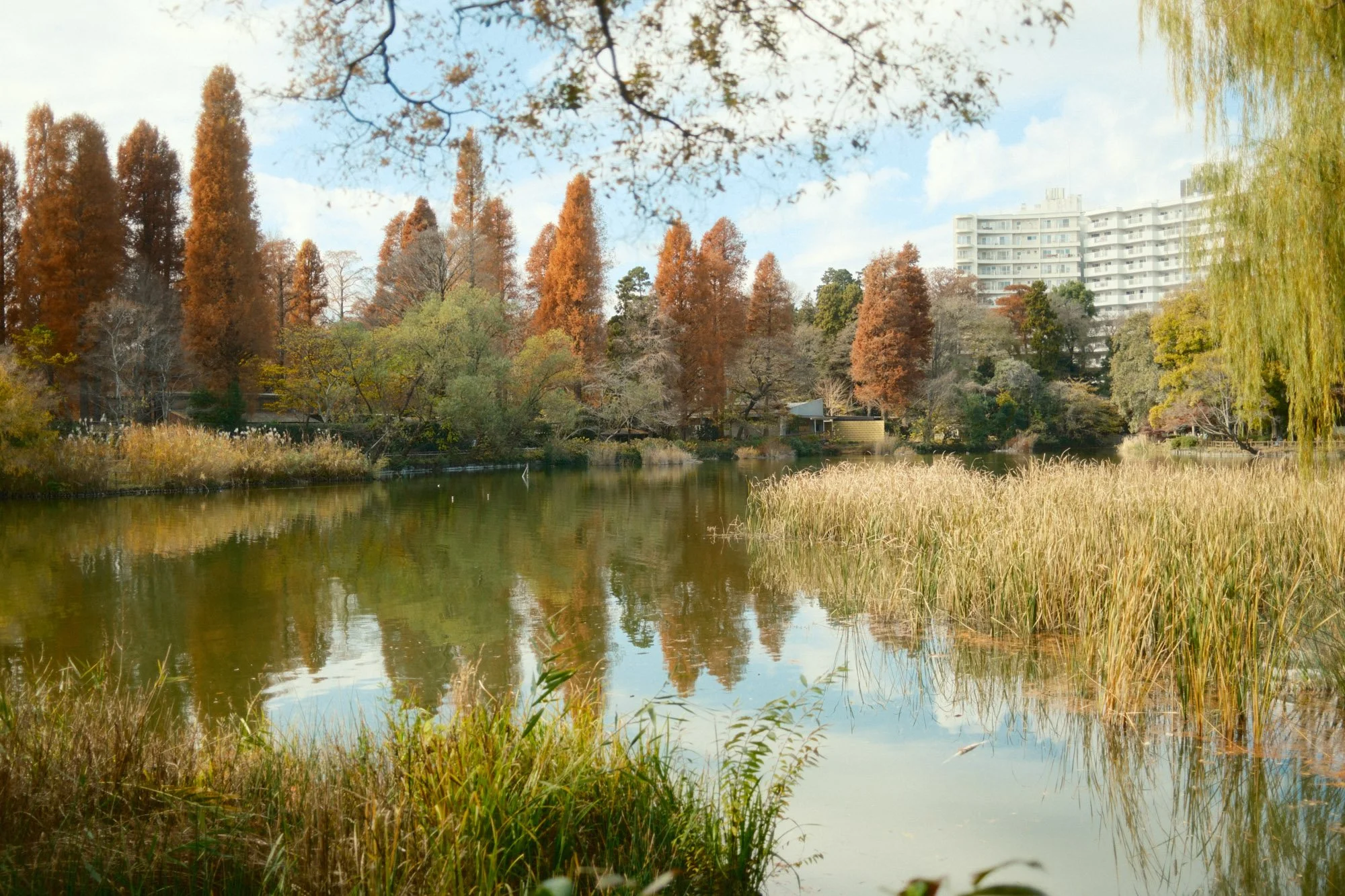 DSCF9181.jpg