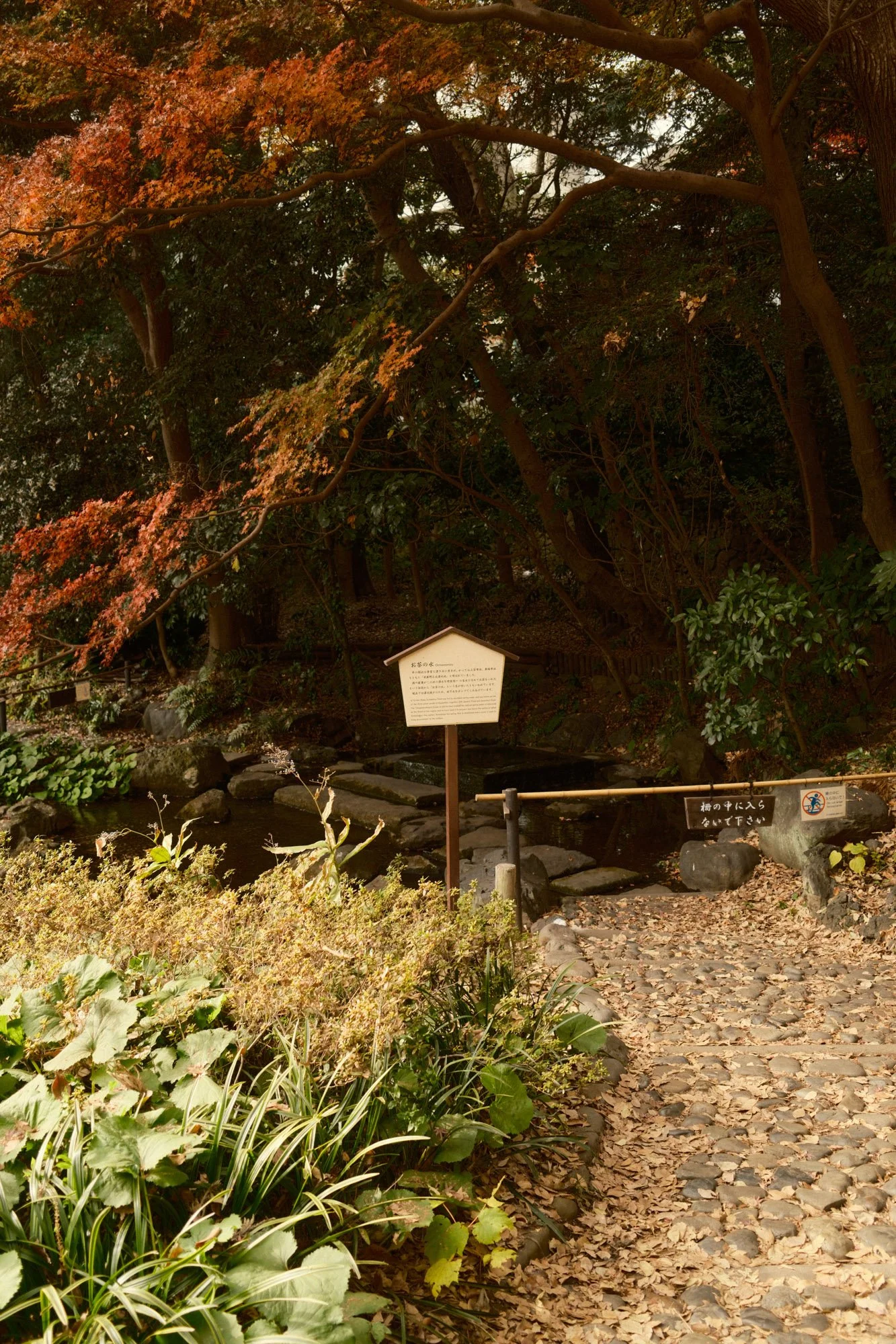 DSCF9199.jpg