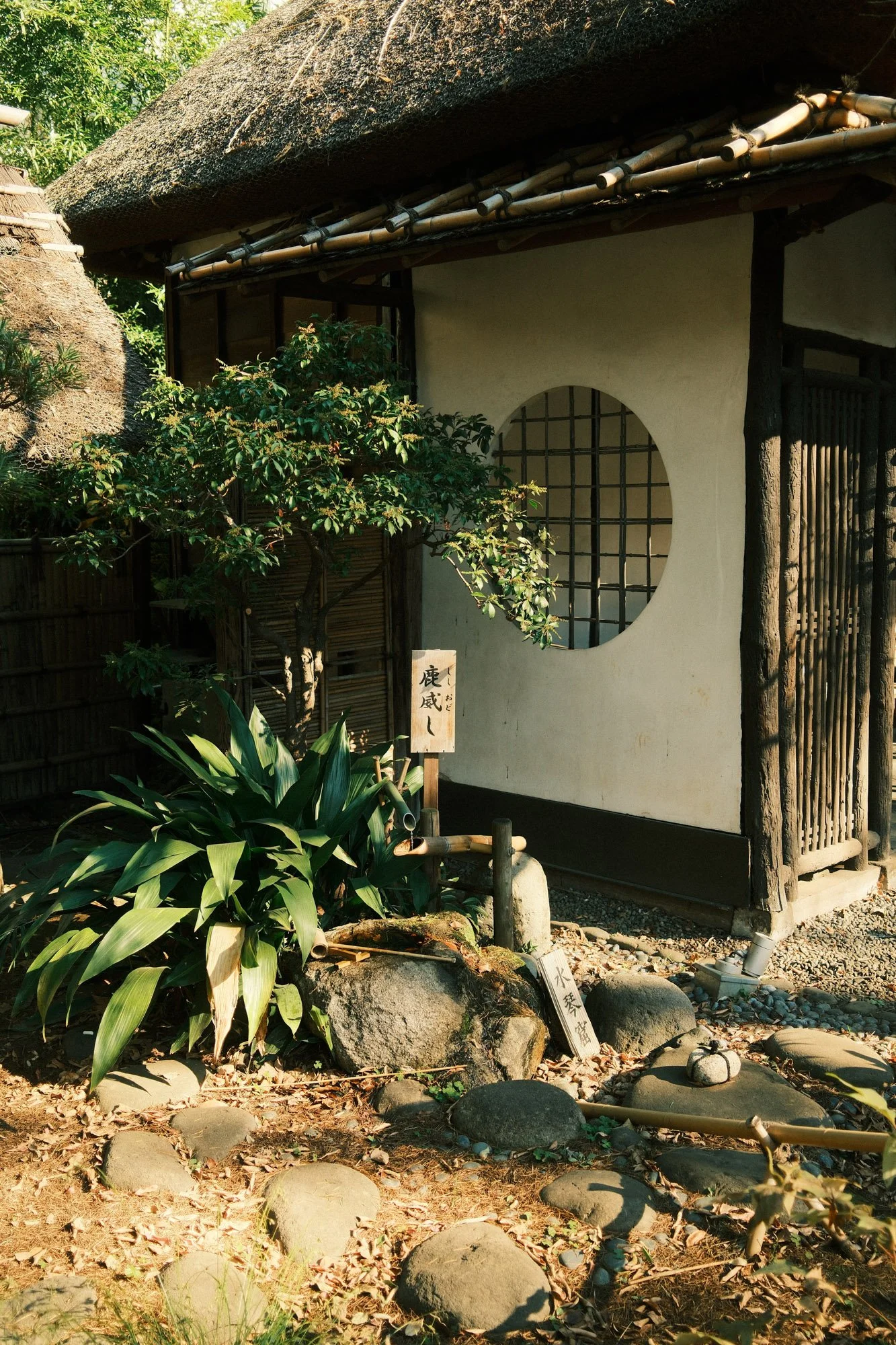 DSCF9321.jpg