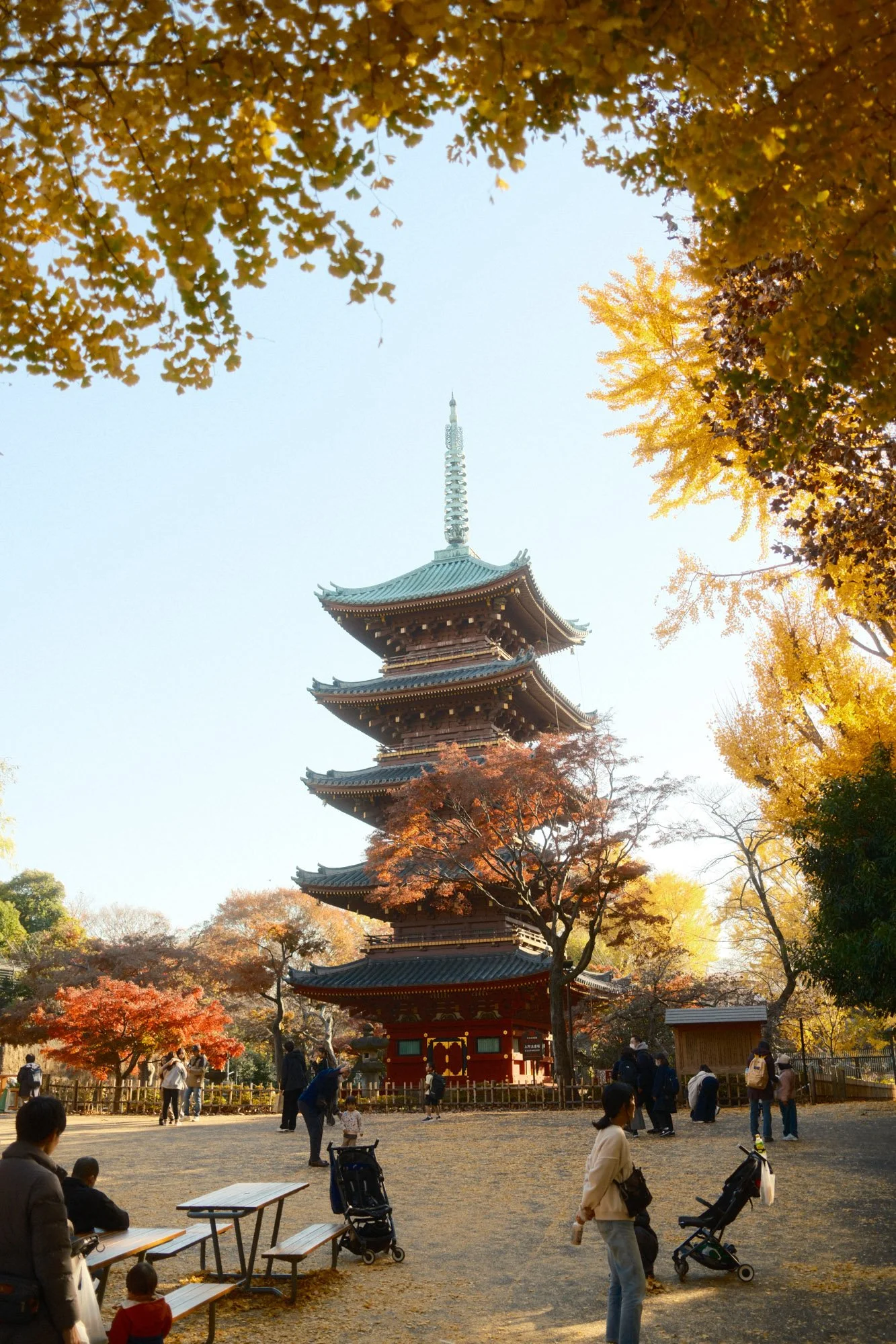 DSCF9373.jpg