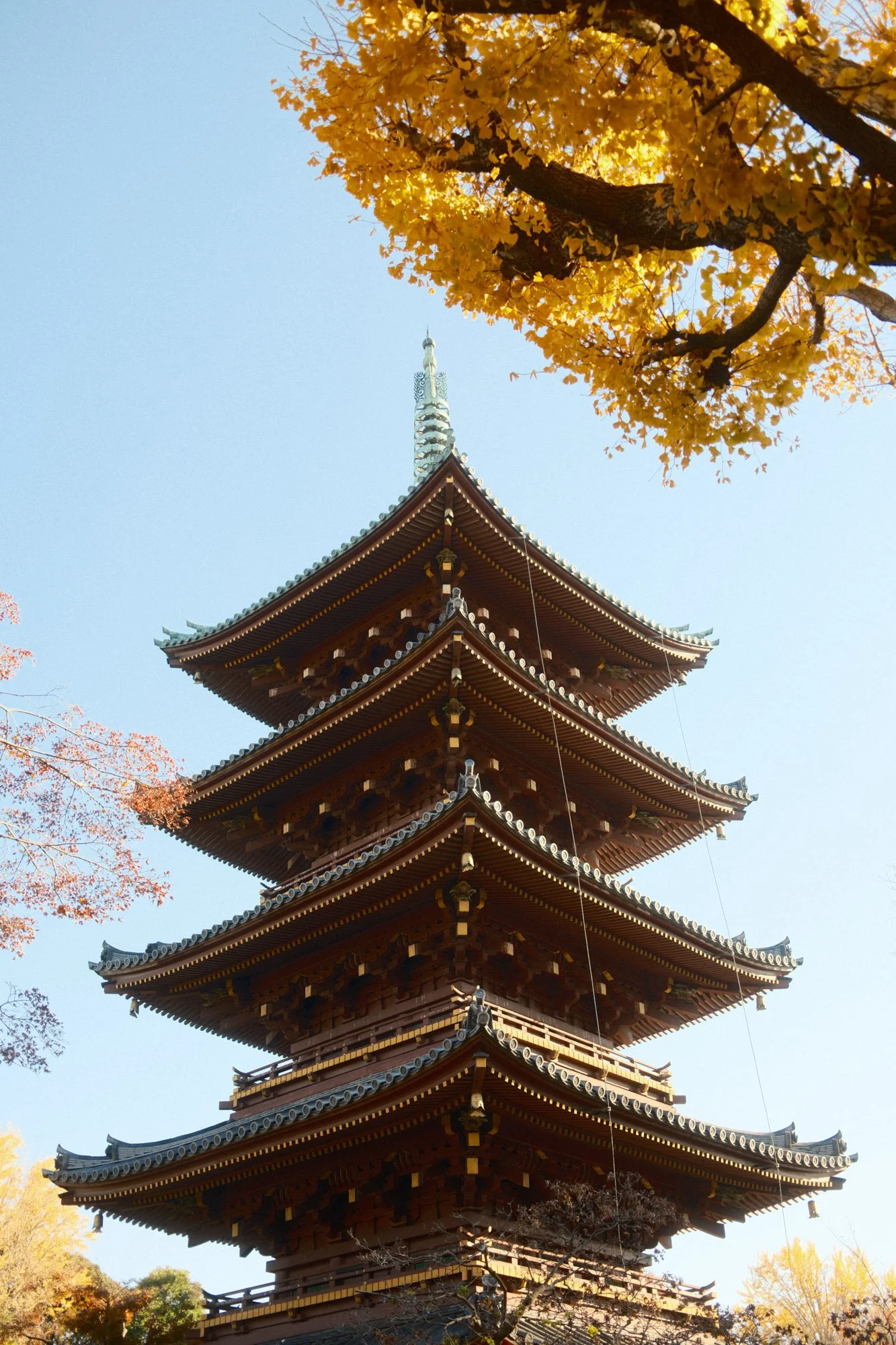 DSCF9378.jpg
