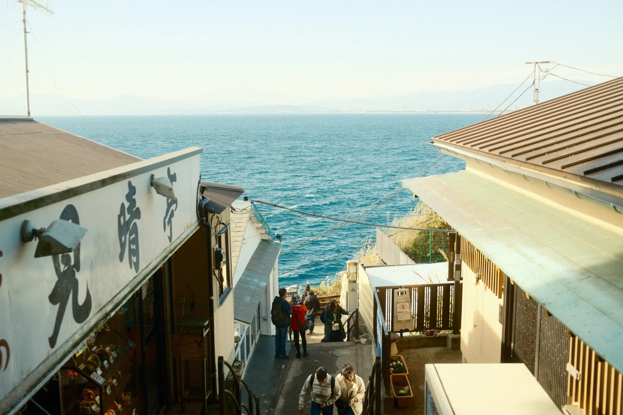 DSCF9519.jpg