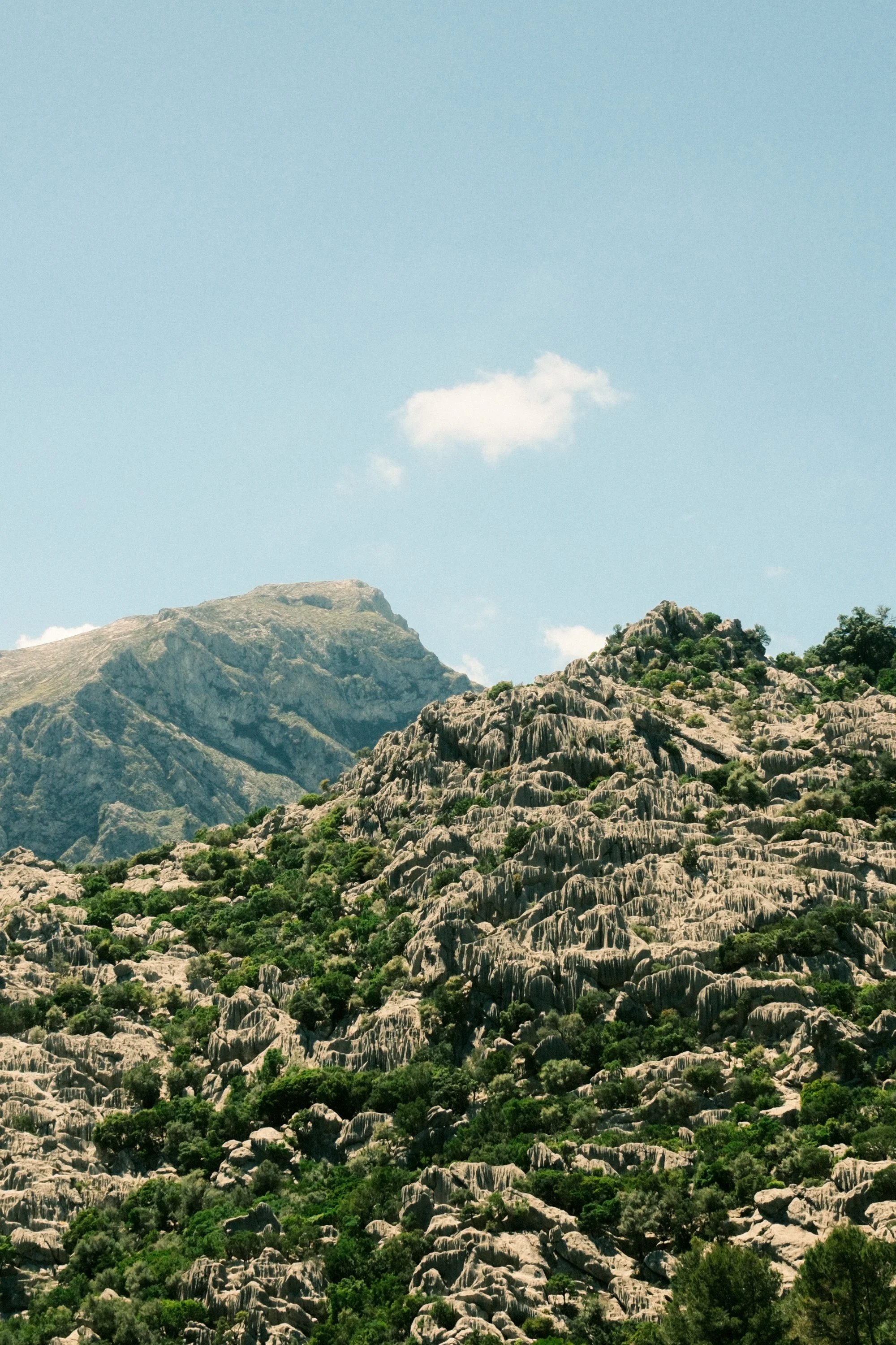 MALLORCA-9.jpg