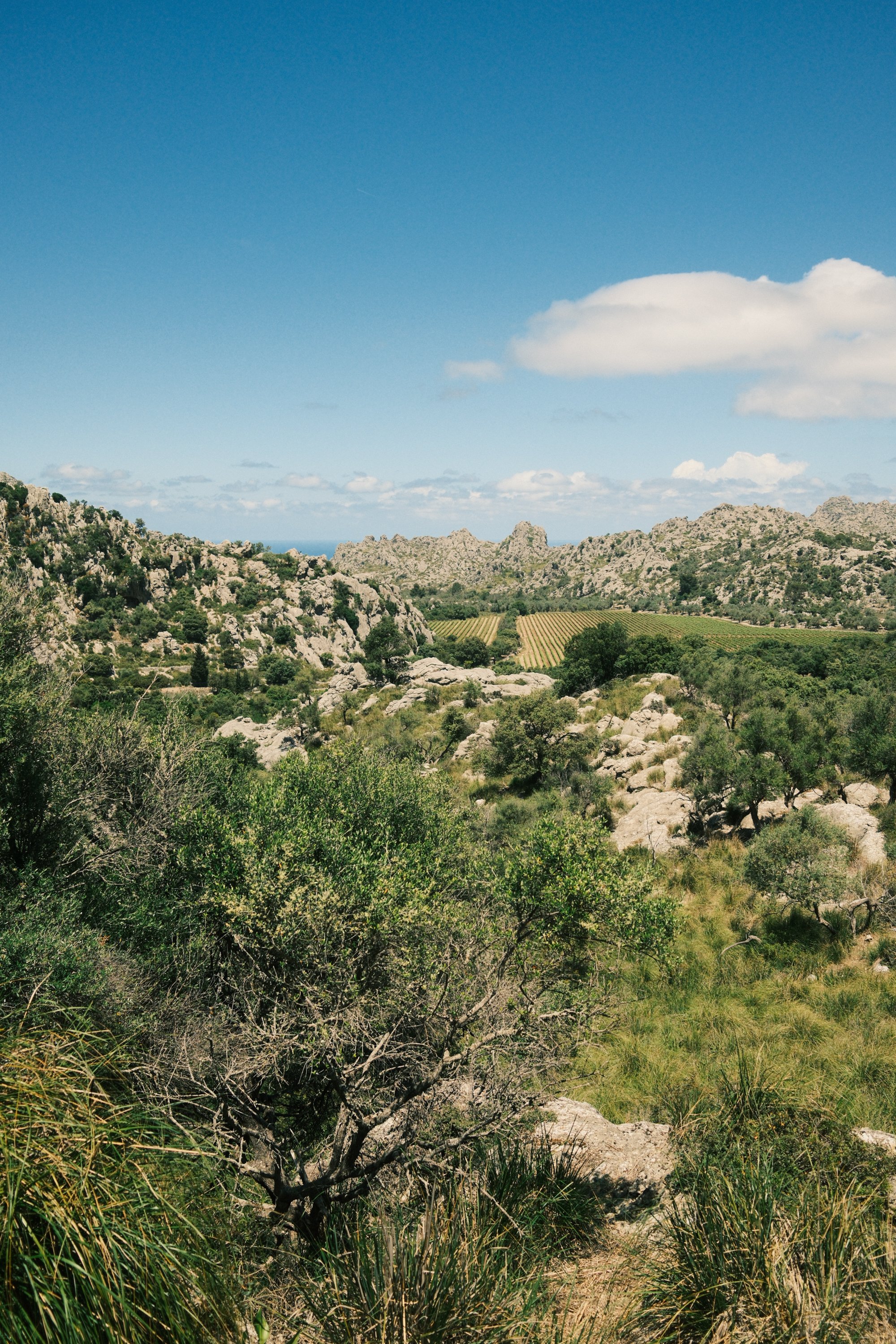 MALLORCA-10.jpg