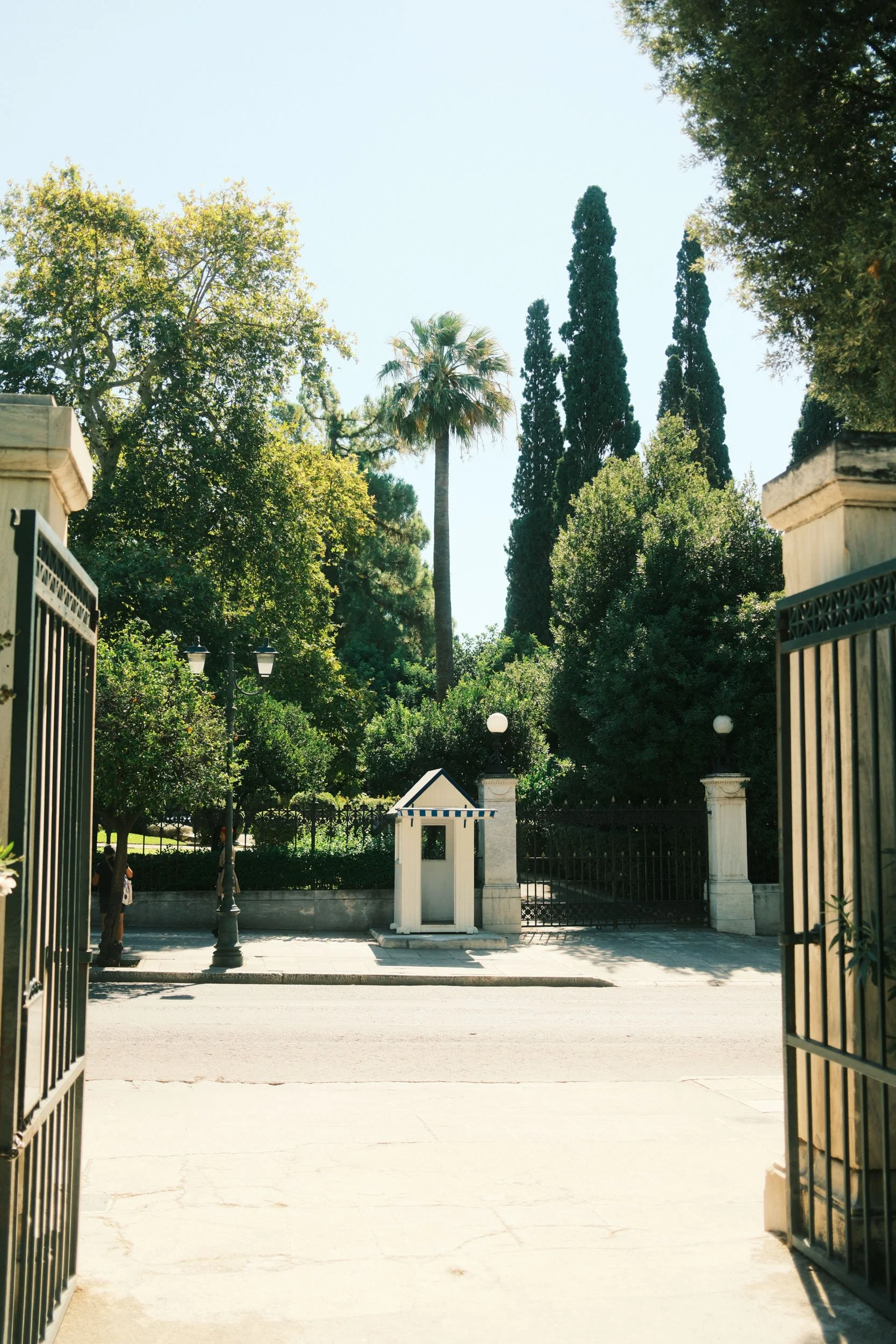 DSCF4854.jpg