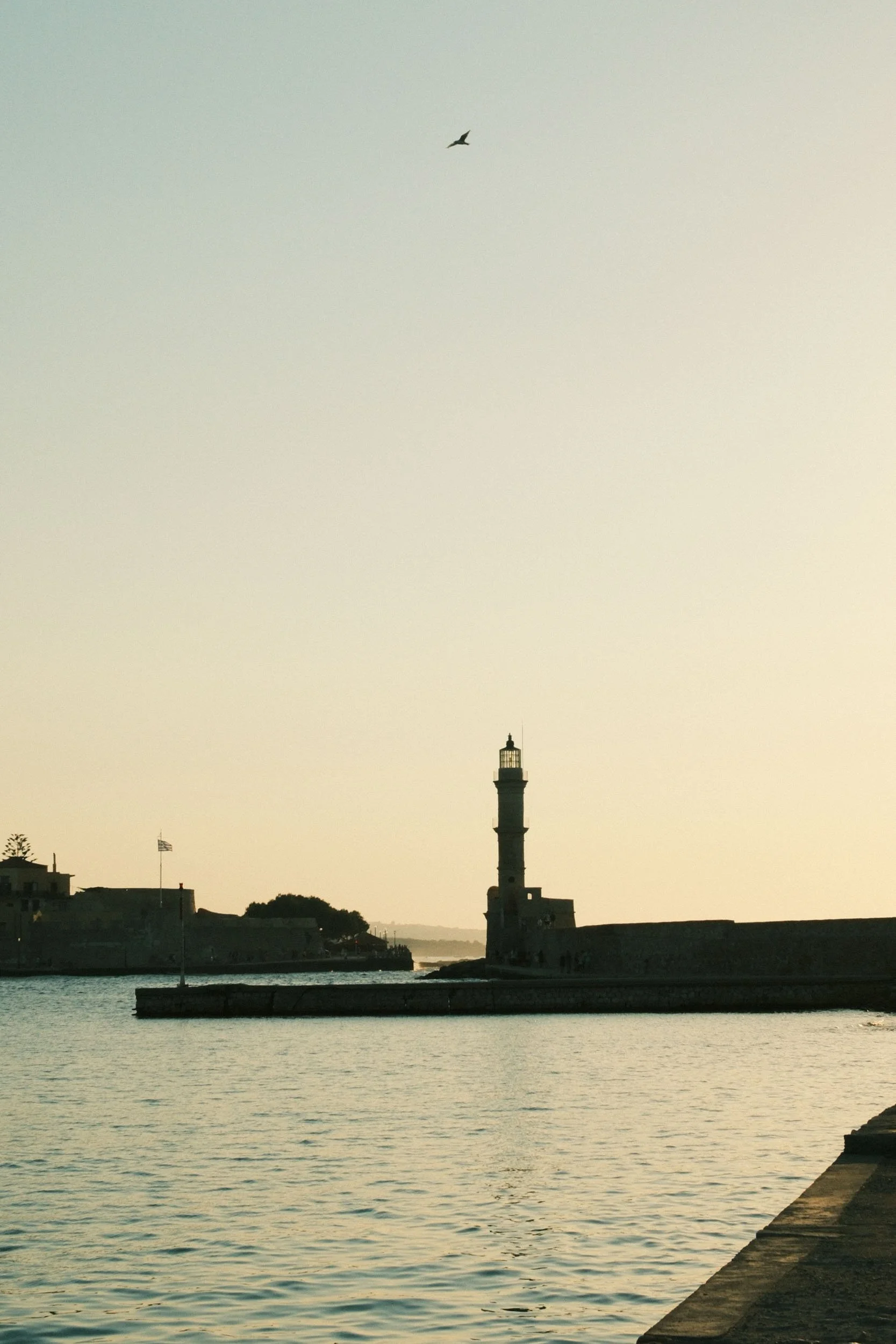 DSCF4914.jpg