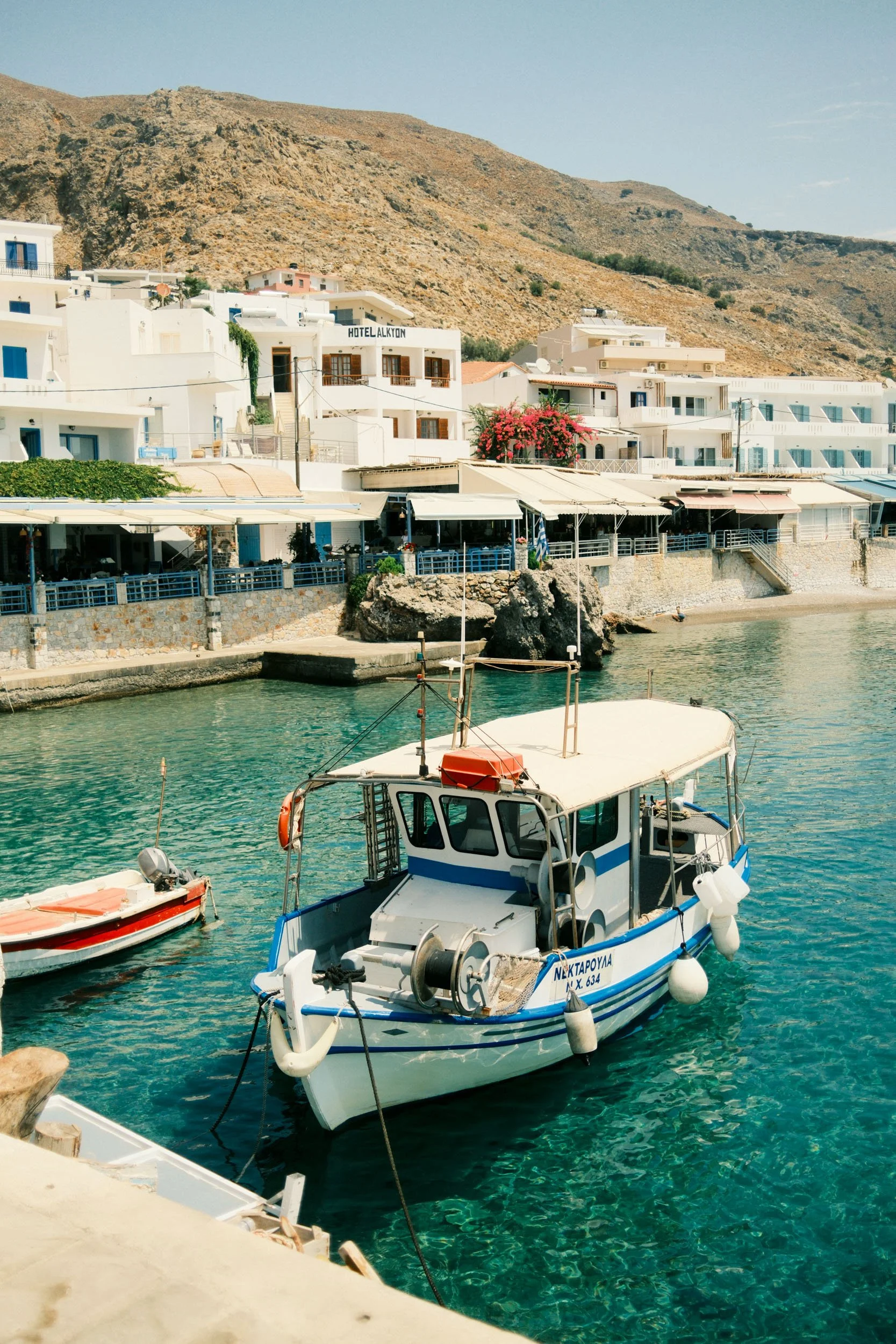 DSCF5208.jpg