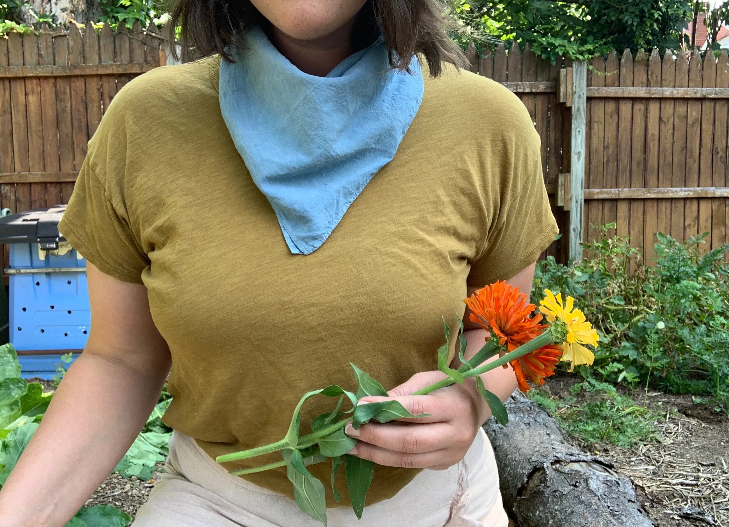 AF07525F-AA7D-45C2-8EB2-1FD506AF3A50