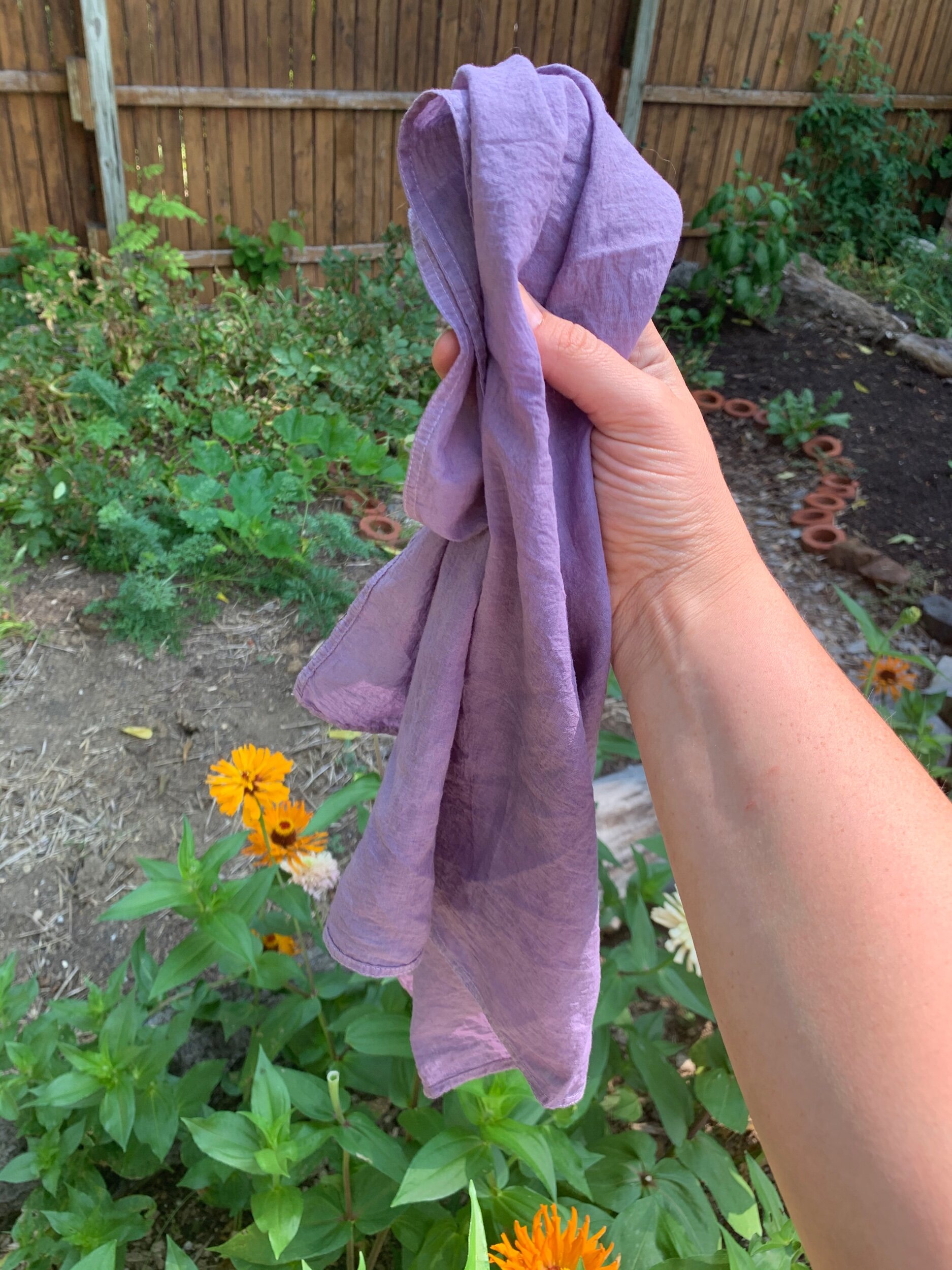 9A8FF4C0-B02C-46E6-9736-B3713EC4DF36