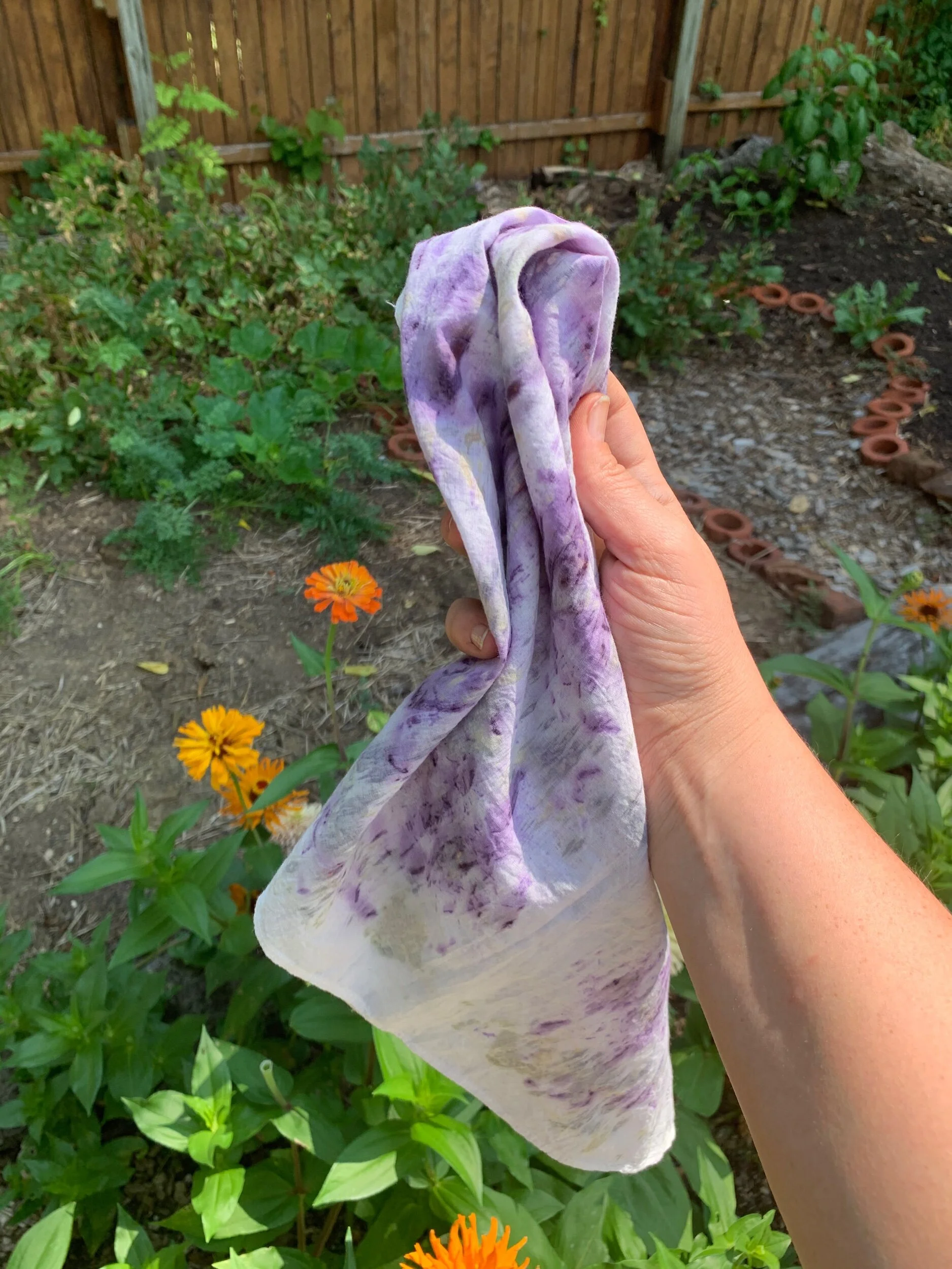 09BE74CD-2F93-4E7B-A990-8FA97301197E