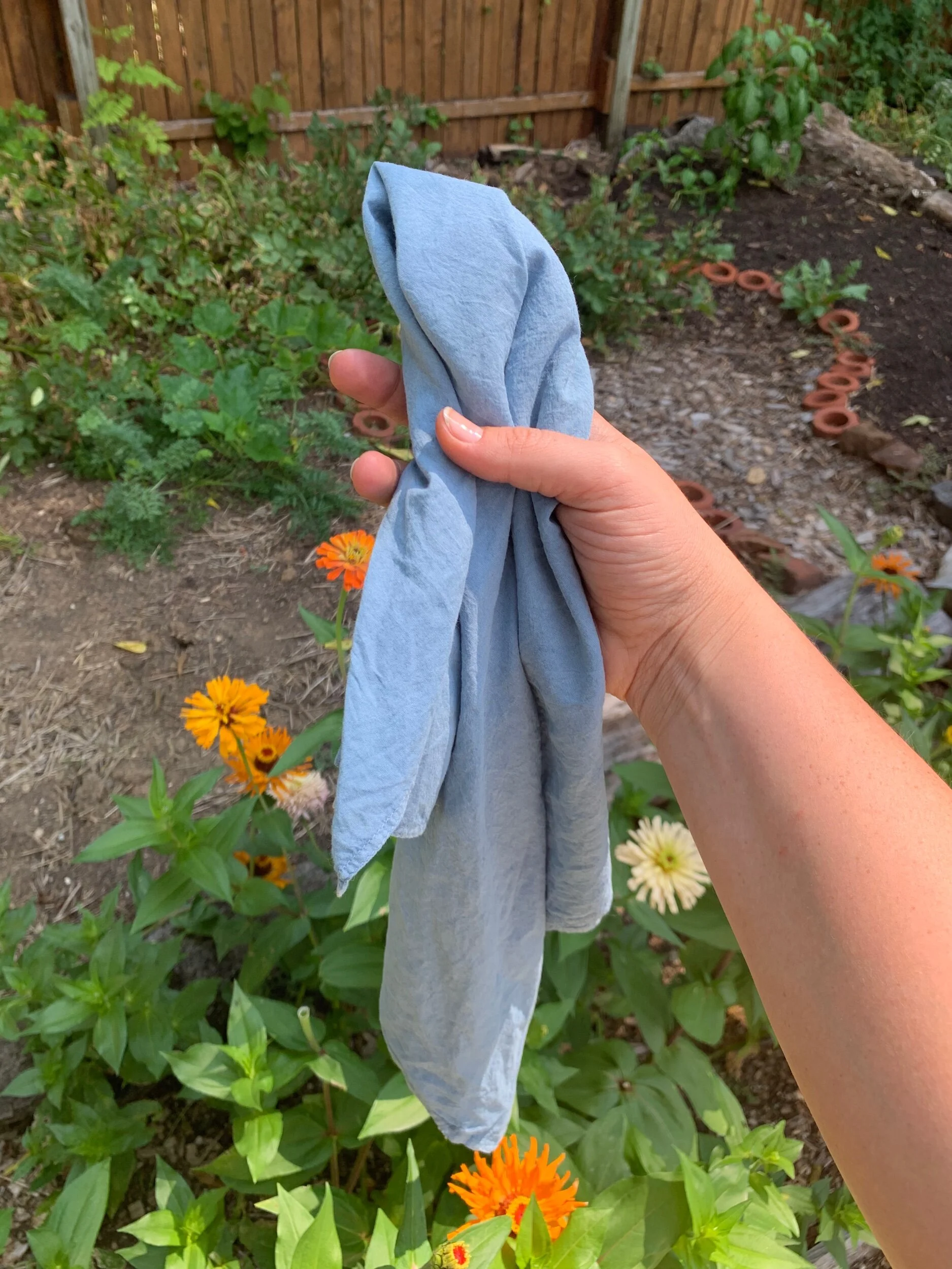 2C719894-14E4-46C2-8B19-5E5C38F0053C