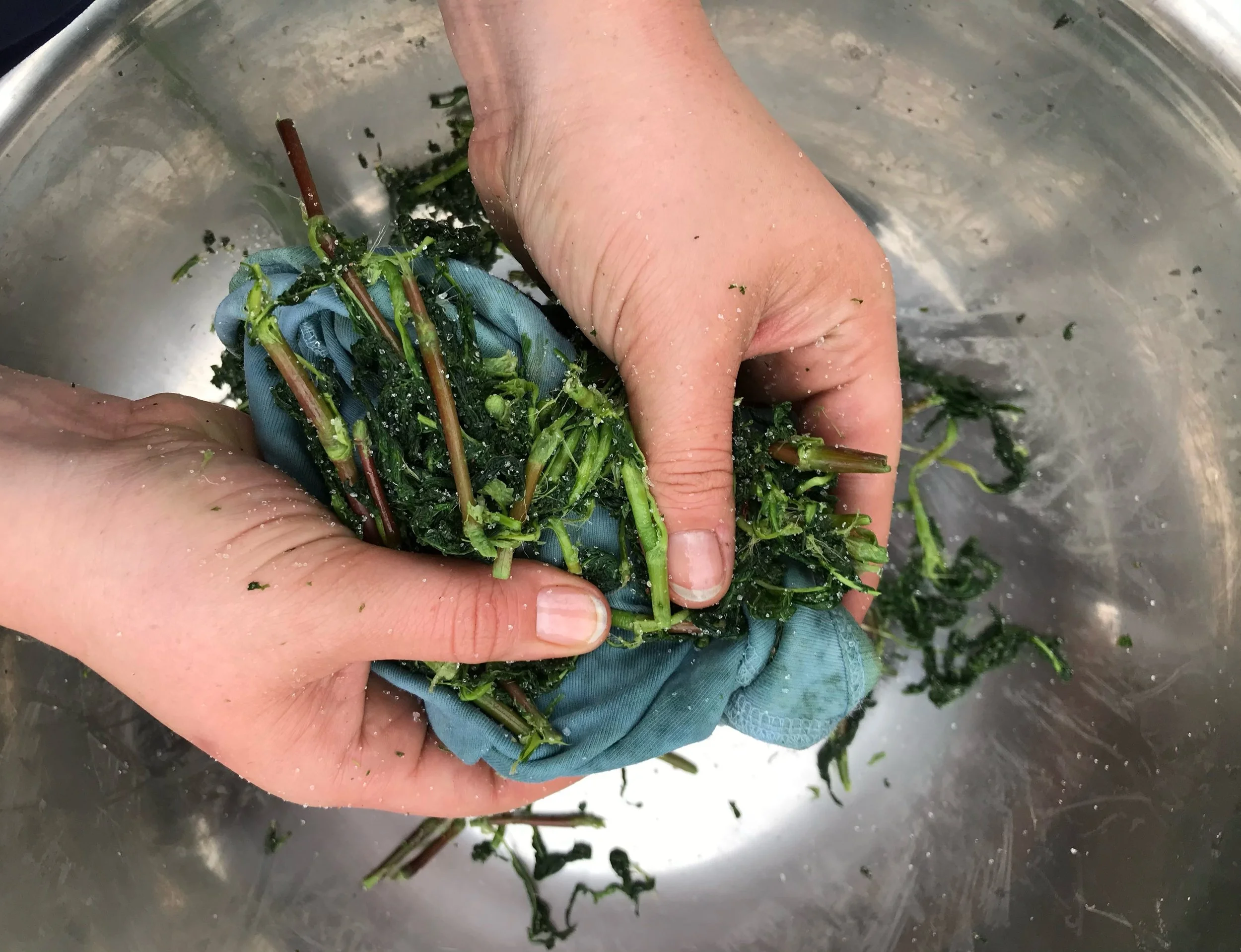 Fresh leaf indigo method